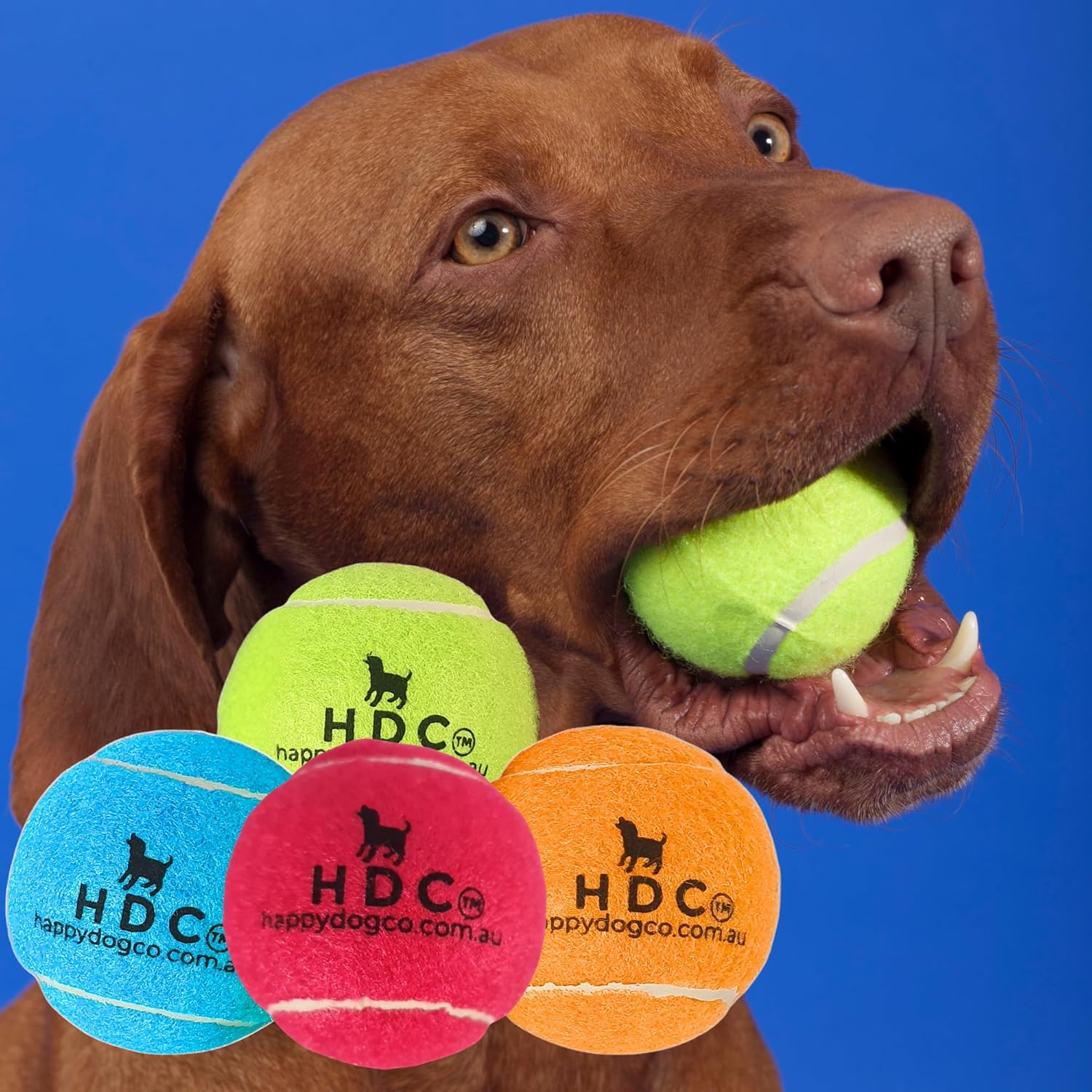 Tennis Balls for Dogs,12 Pack, Pet Dog Playing Balls, Colorful Easy Catching Pet Dog Balls, Bulk Pack (Blue)