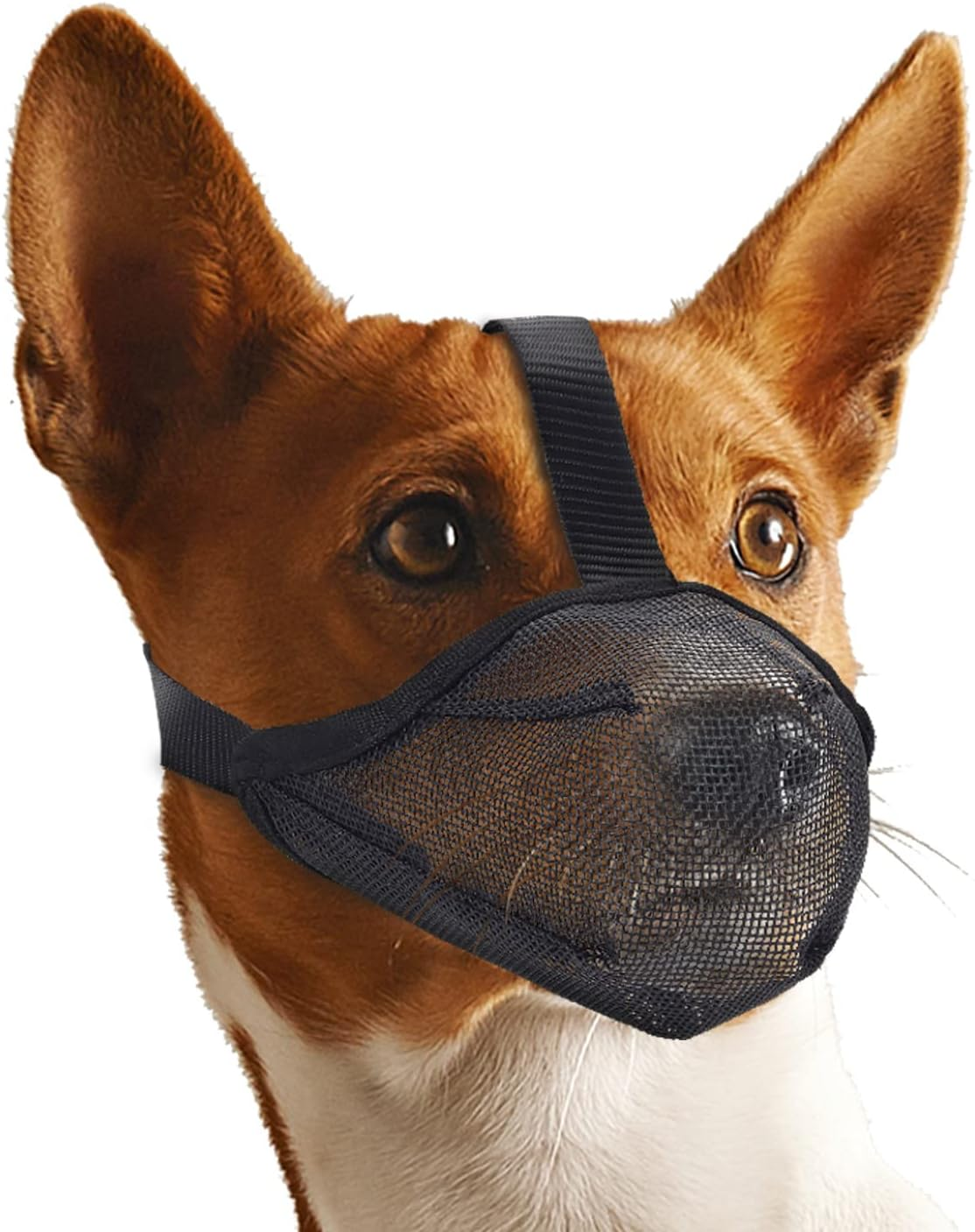Dog Muzzle, Dogs anti Bite Air Mesh Dog Muzzle with Adjustable Straps, Breathable Drinkable Prevent Biting Barking Chewing Licking for Pets image number 1