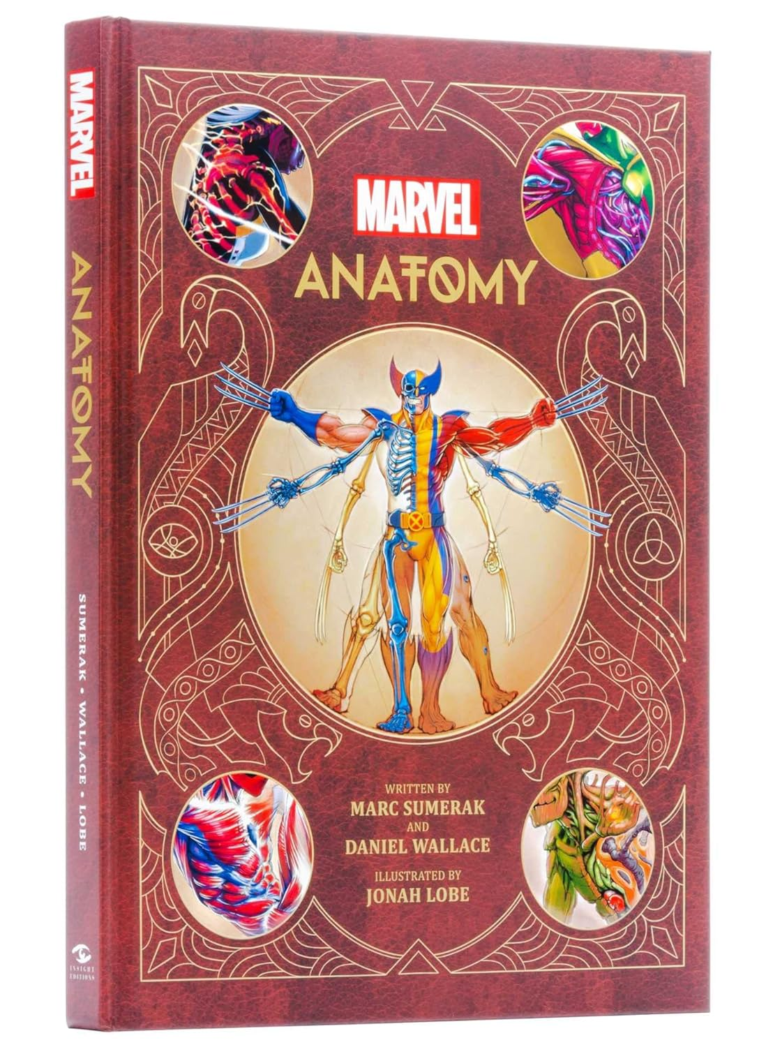 Marvel Anatomy: a Scientific Study of the Superhuman image number 5