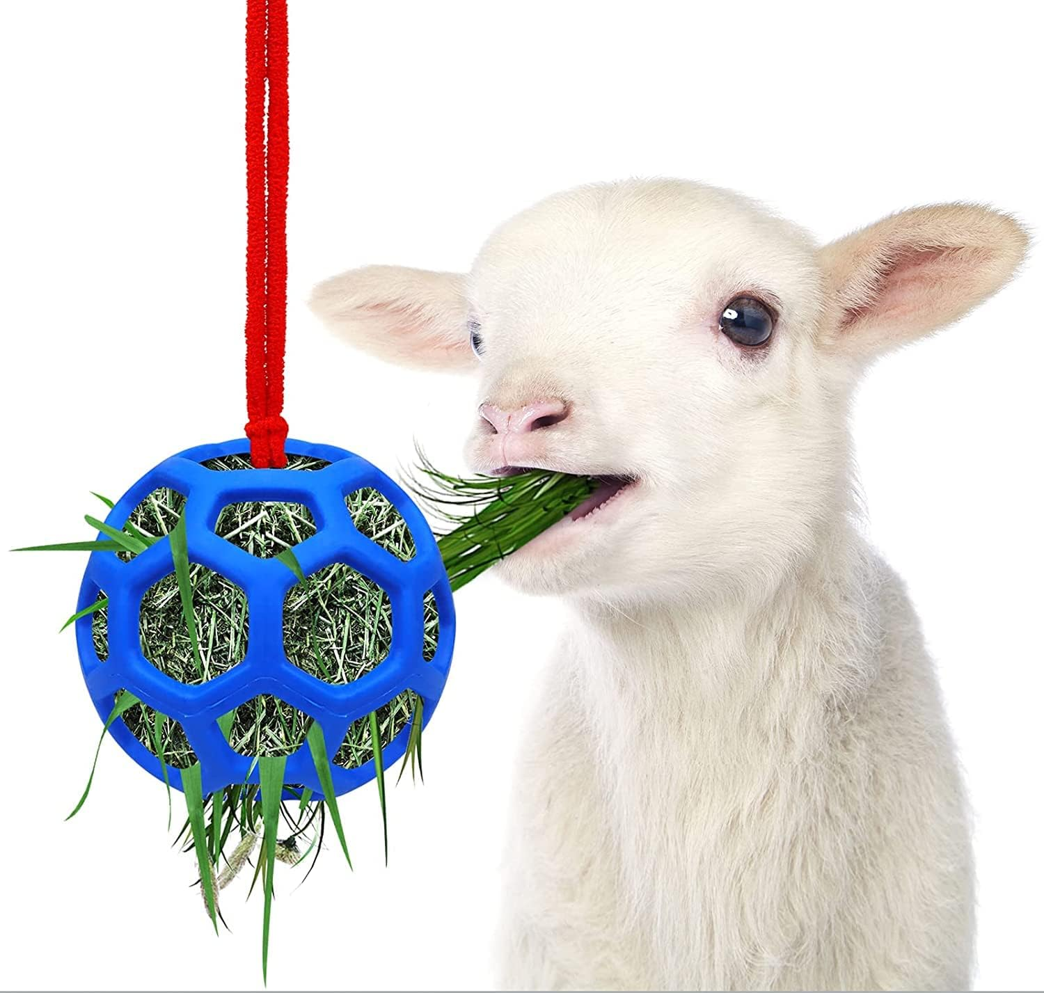 Horse Treat Ball Hay Feeder Holder Hanging Slow Feeding Toy for Goat Sheep Horse Stable Stall Paddock Rest Relieve Stres