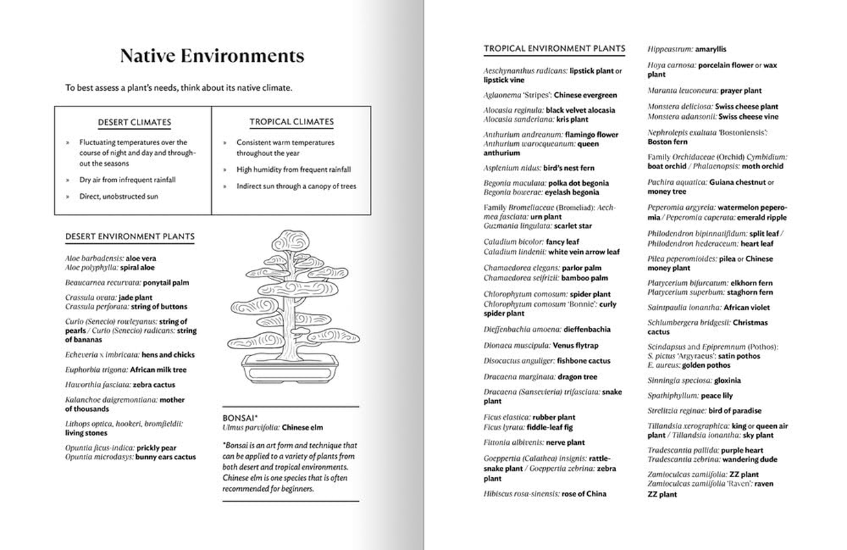 The Happy Houseplant Coloring Book: 50 Plants to Color and Care For: an Indoor Gardening Coloring Book image number 4