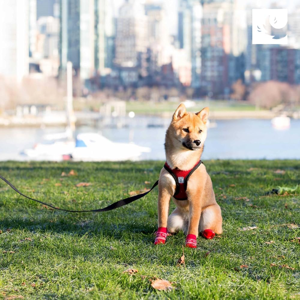 RC Pet Products Cirque Soft Walking Step-In Dog Harness, Small, Tan Tartan image number 6