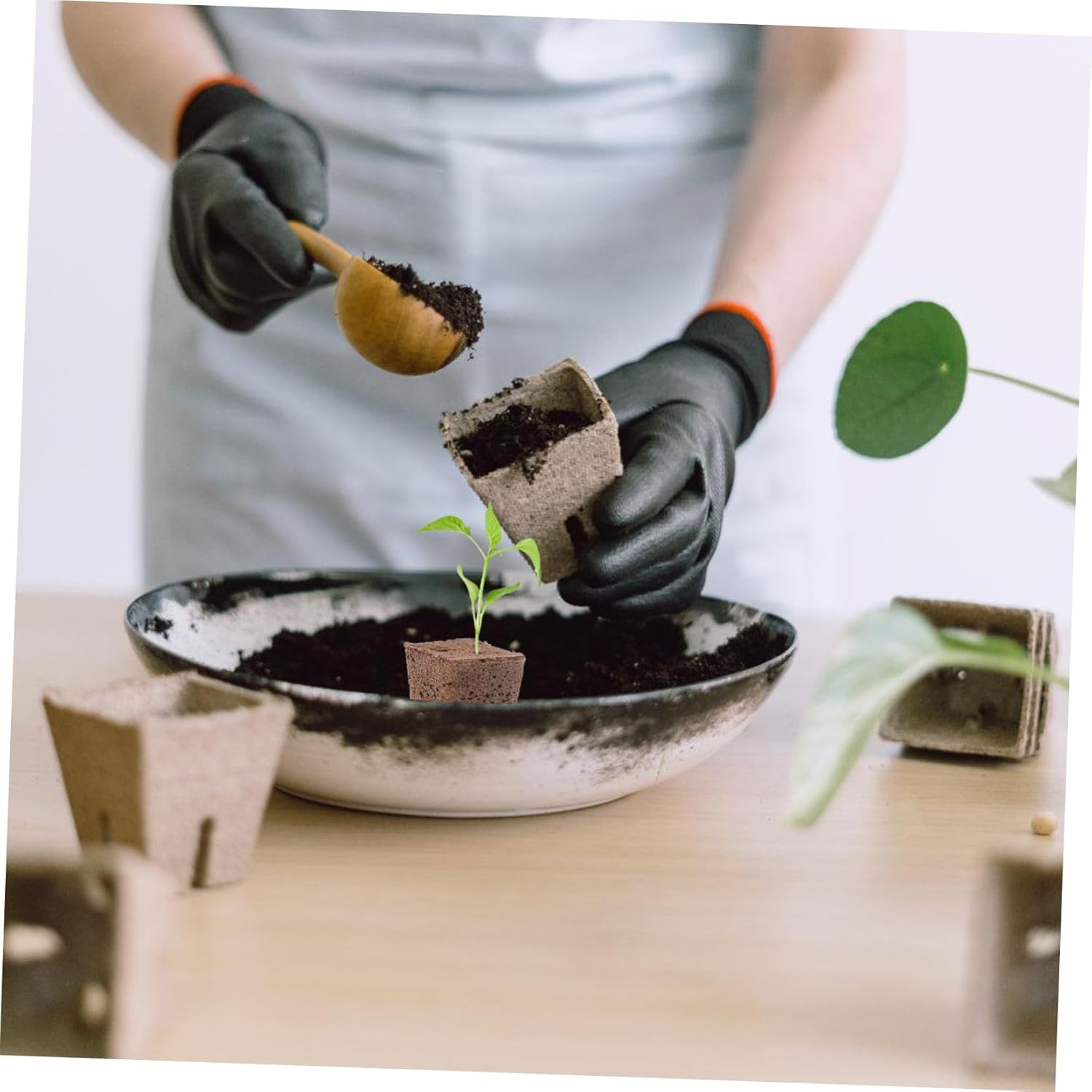 KITANDOVE 40Pcs Hydroponics Seed Starter Blocks Soilless Cultivation Grow Media Cubes for Indoor and Outdoor Gardening 1 Inch Plant Nursery Plugs High Air Permeability image number 4