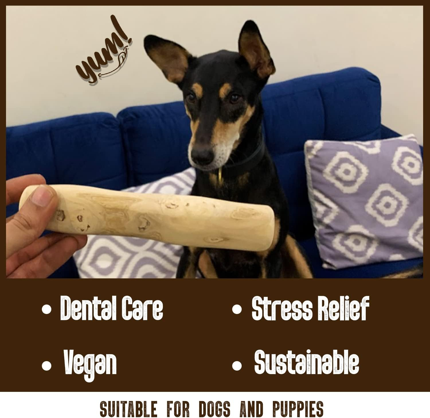 Goofy Tails Coffee Wood Chewing Stick for Dogs | 100% Natural, Caffeine Free Chew Toy for Dogs | Dental Care & Training Chewing Stick | Handmade Durable Toy for Aggressive Chewers (Large) image number 3