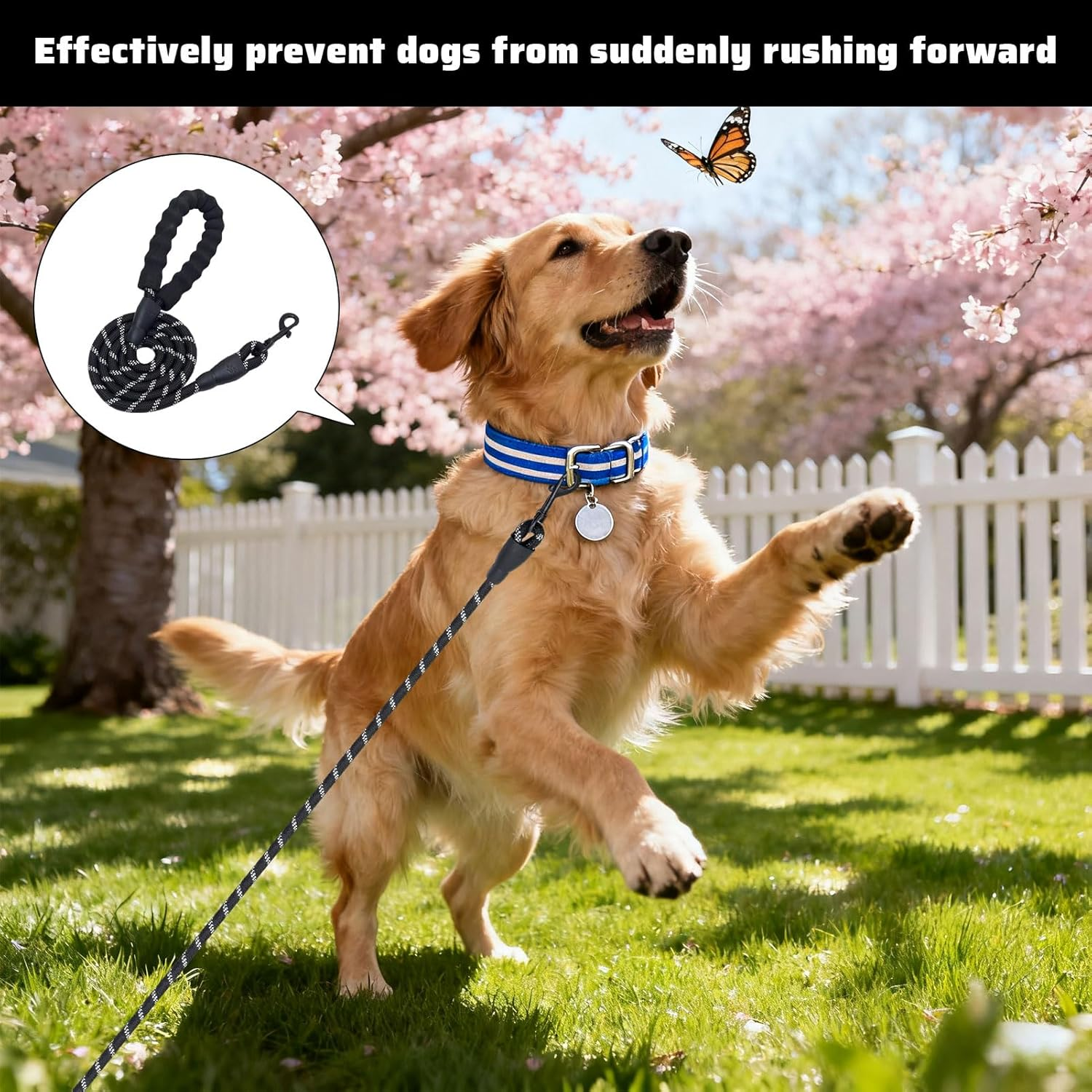 Dog Lead, 1 Pcs 1.5M Dog Leash, Dog Leads Heavy Duty, Slip Lead Dog Leash with Soft Padded Handle and Highly Reflective 360&deg; No Tangles, Training Leads for Large Medium Small Pooch​ (Black)