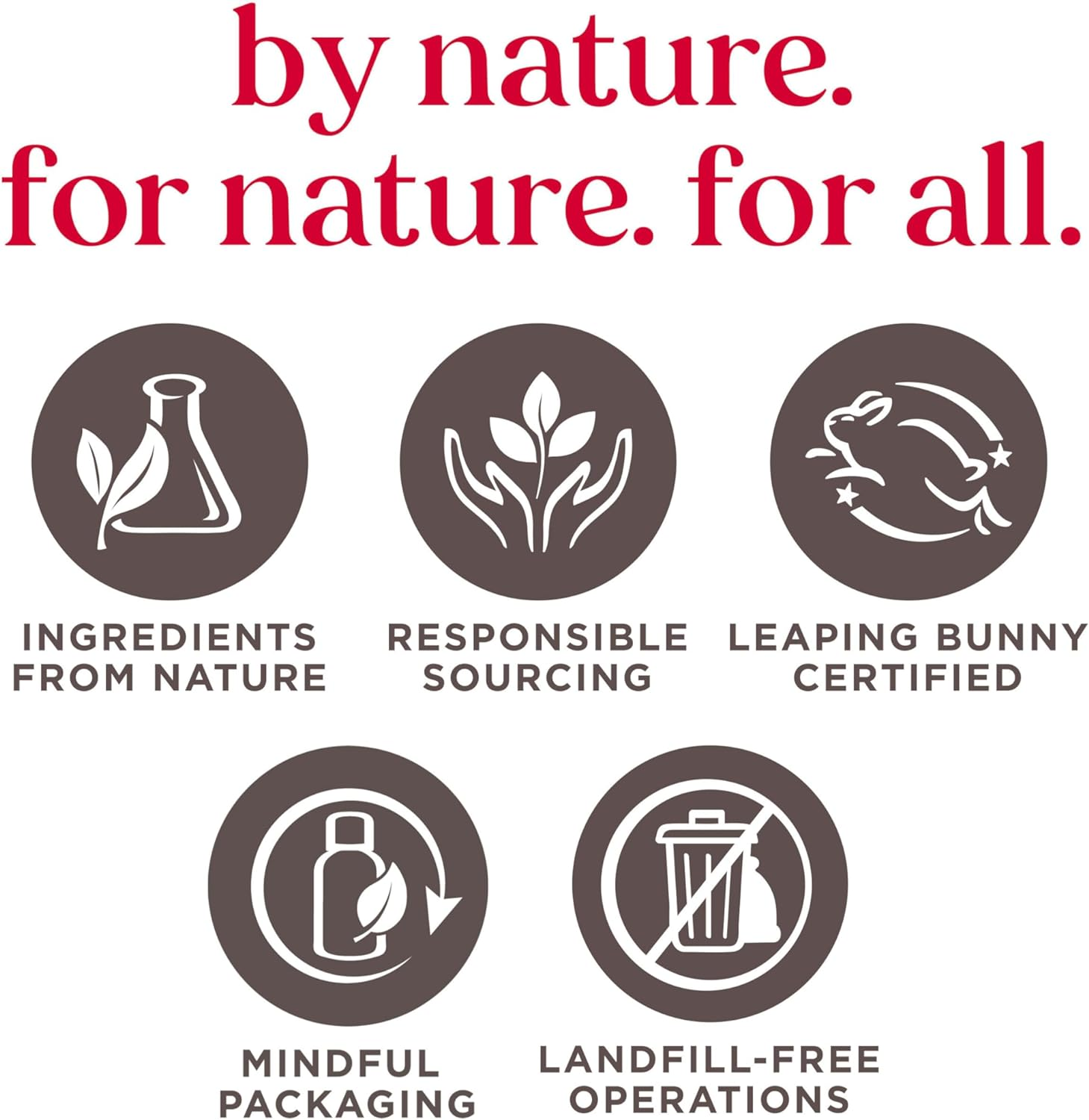 Burt'S Bees 100% Natural Origin Tinted Lip Balm, Rose with Shea Butter and Botanical Waxes, 1 Tube, 4.25G image number 2