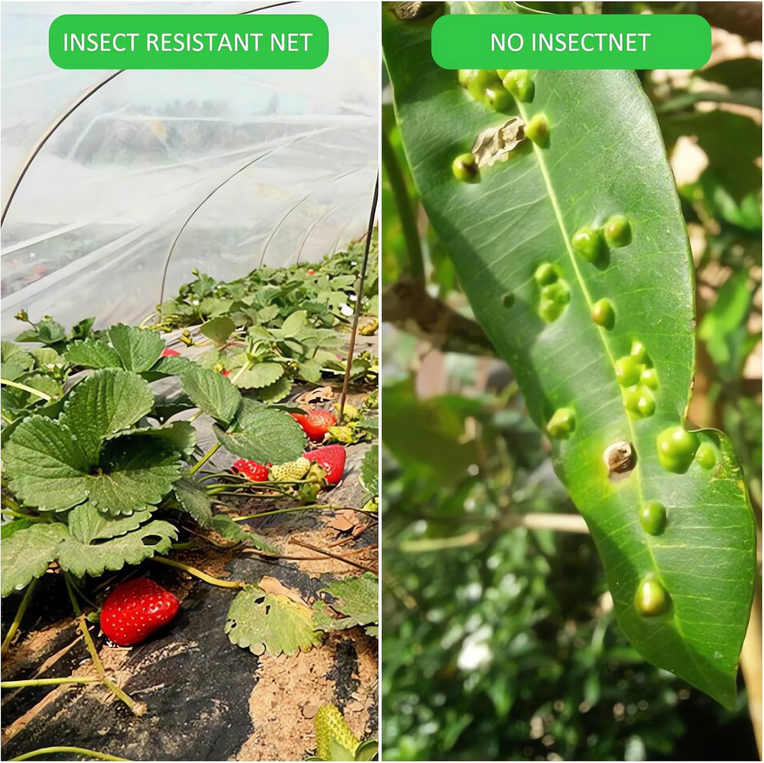 Garden Insect Netting, Reusable Floating Row Cover, Plant Covers Freeze Protection, Ultra Fine Mesh Garden Covers for Vegetables, Flowers, Fruit and Plants (10Ft X49.2Ft) image number 2