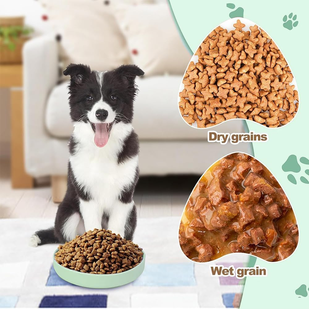 GIGIIS Silicone Cat Feeding Bowl, Pack of 2, Flat Cat Bowl for Dry and Wet Food, Suitable for Cats, Small Dogs, Hedgehogs, Rabbits (Green and Blue) image number 2