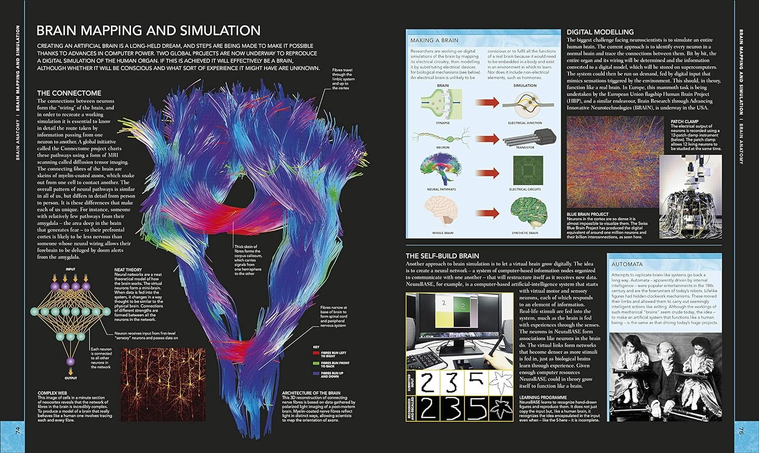 The Brain Book: an Illustrated Guide to Its Structure, Functions, and Disorders image number 2