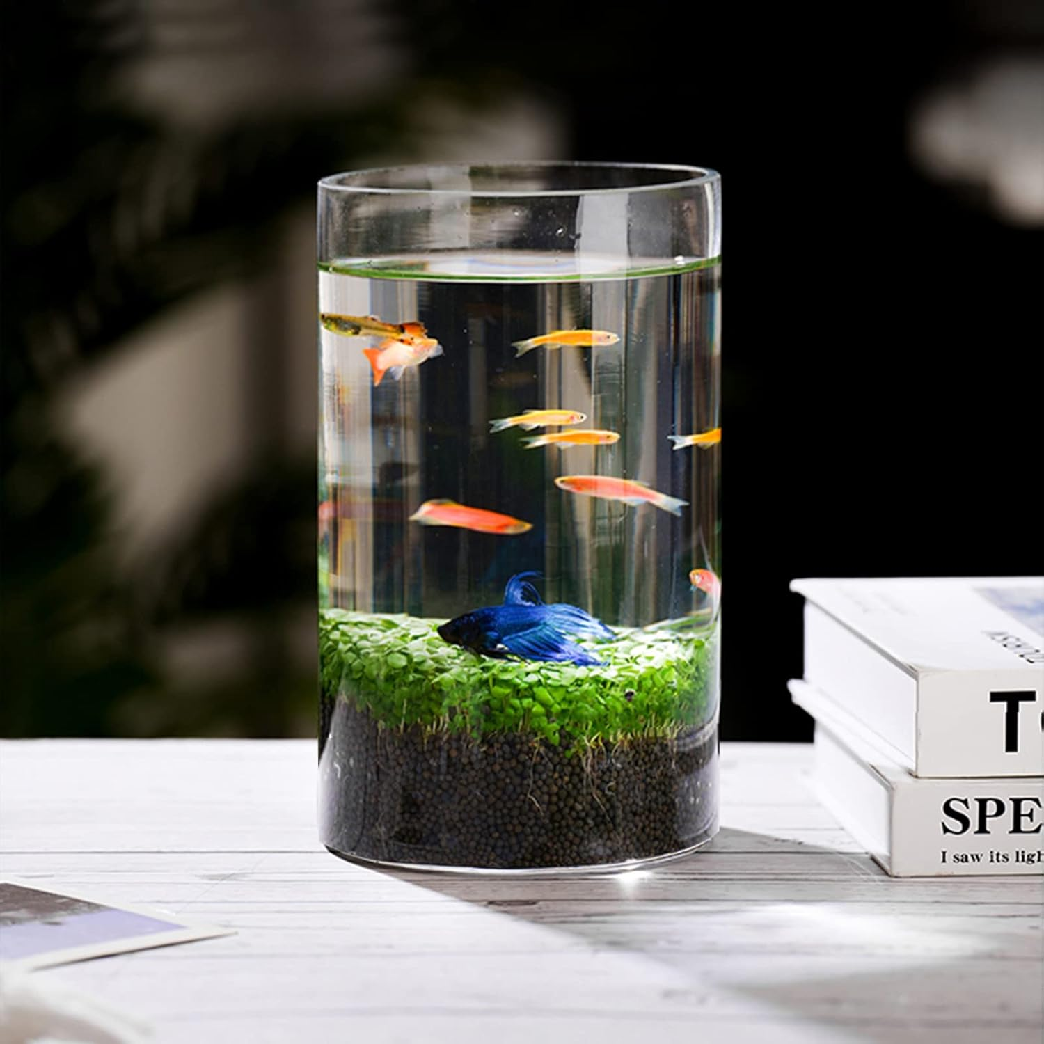 CUCUMI 12Pcs Glass Cylinder Vases for Centerpieces, Flower Vases Wedding Decorations, 6 Inch Tall Glass Hurricane Candle Holder for Table Shelf, Floral Vase Bulk for Home Decor