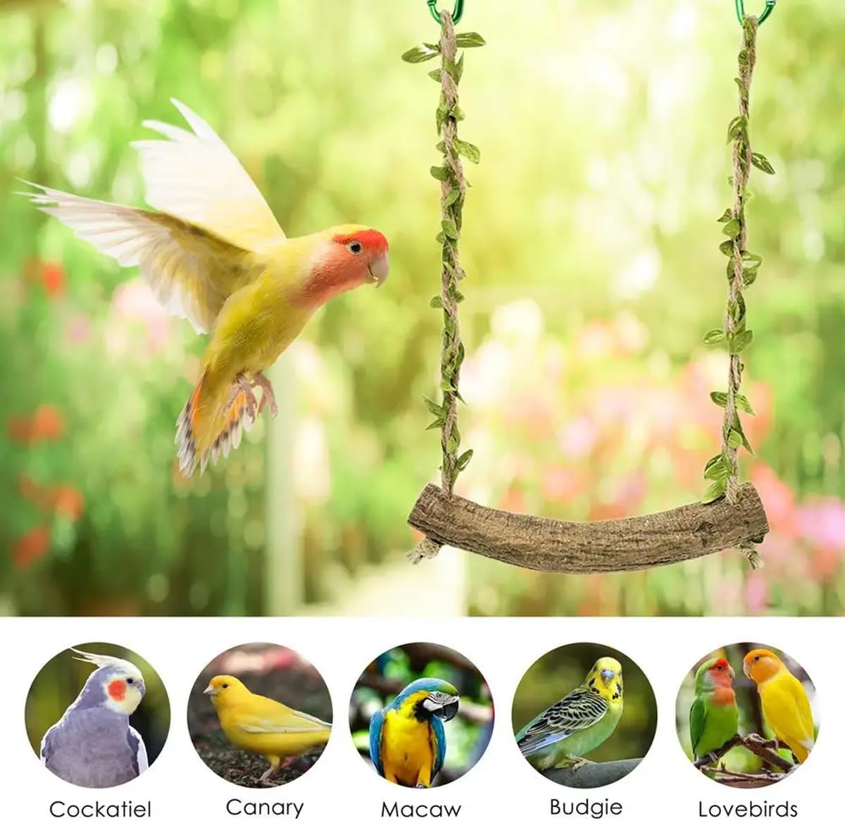 AIMALL Parrot Swing Station with Rattan Wood Pole, and Green Carabiner &ndash; Birdcage Decoration and Perch for Parrots image number 1