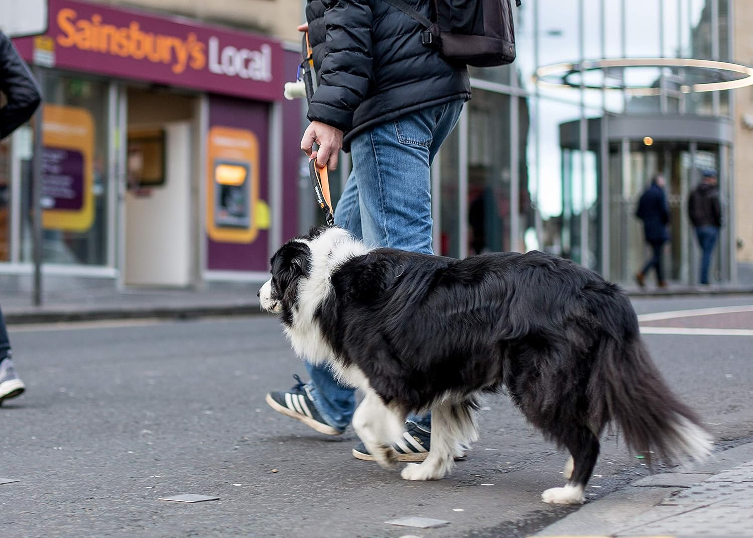 Sweetie Bungee Dog Lead Shock Absorbing Leash, M, Black, 131 G image number 3