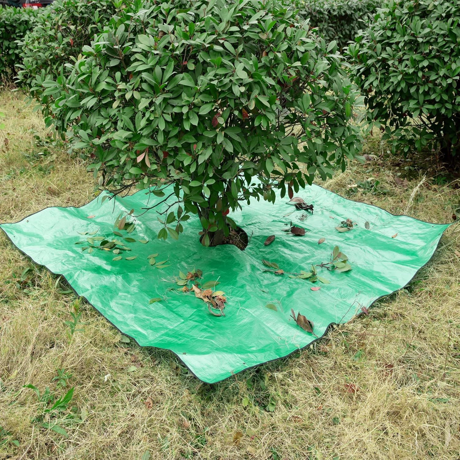 Moonoom Landscape Tarp for Trimming with 12 Inch Hole Garden Tree Pruning Waterproof Tarp,Four Corners Has Corner Buckles Can Stand up Fasten around Trees and Shrubs image number 1