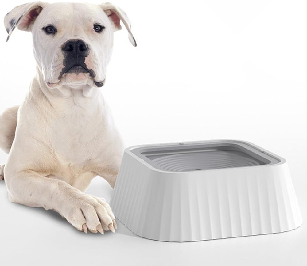 Hwtcjx Water Bowl for Dogs, Leak-Proof Drinking Bowl, Dog Feeding Bowl on the Go, 1.3 L Anti-Spill Dog Bowl Travel for Pets, Indoor, Outdoor, Car (Milky White)