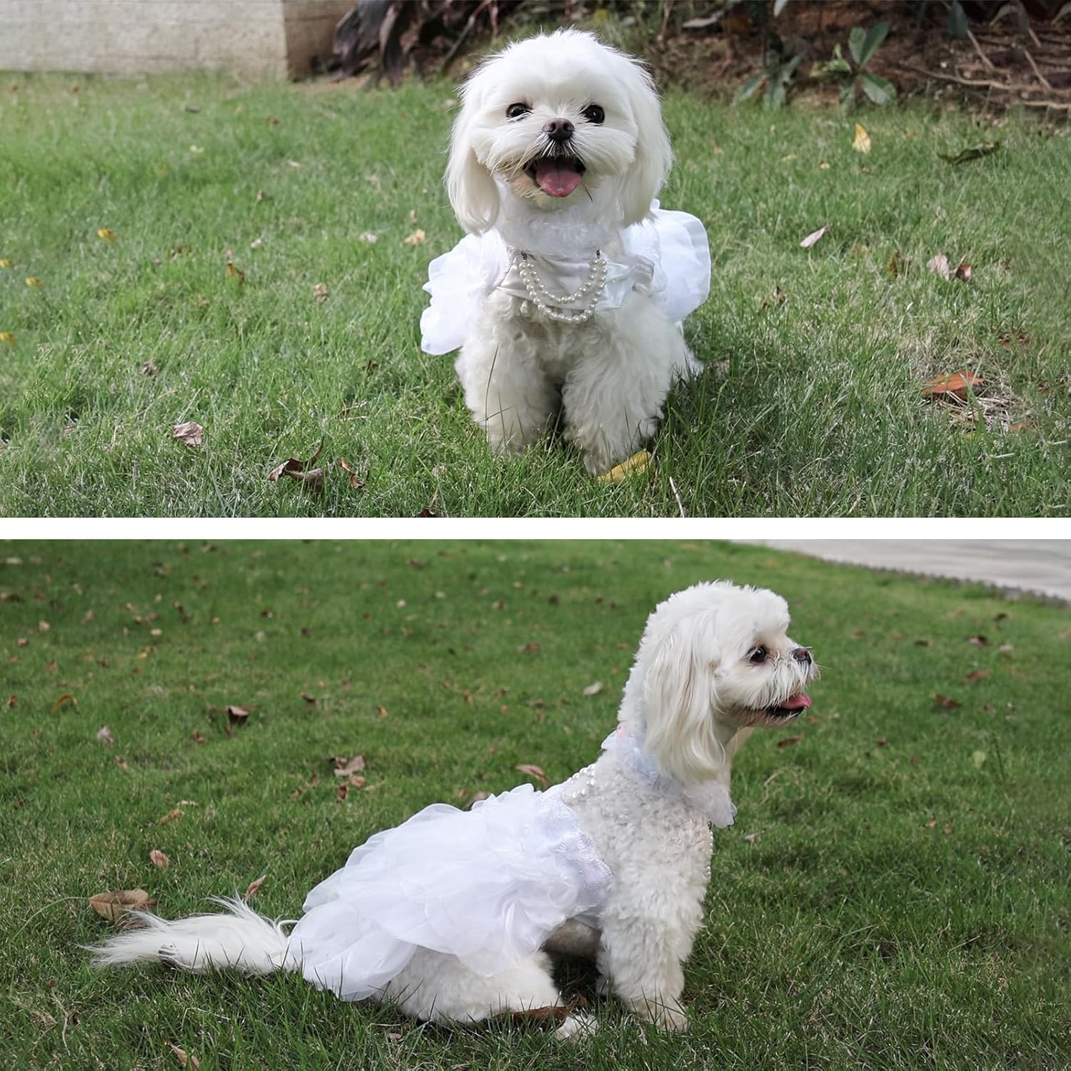 WORDERFUL Dog Wedding Dress Bride Outfit Pearl Necklace Rose Pet Princess Formal Apparel Puppy Cat (S) image number 5