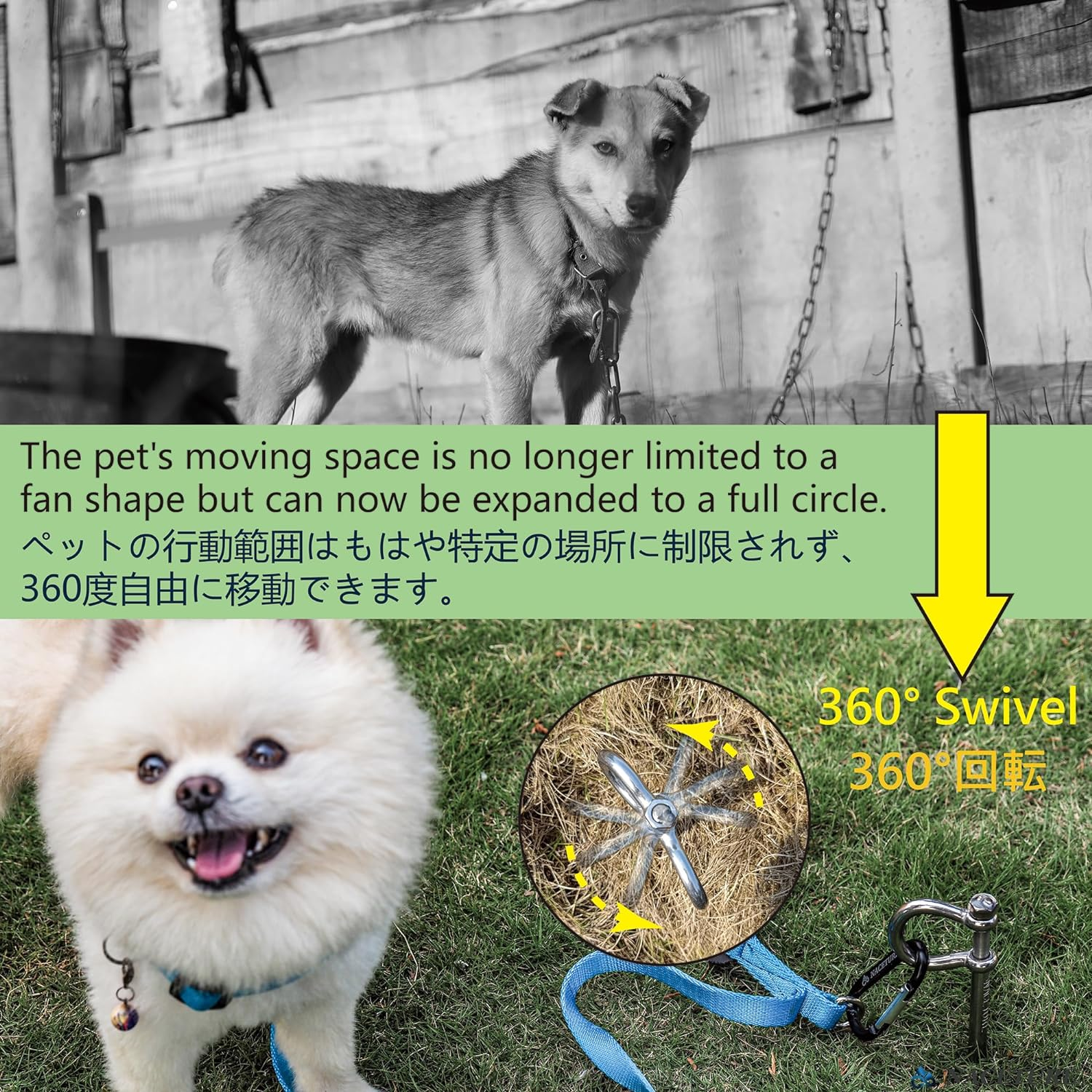 Stainless Steel Dog Tie Out Stake - Heavy Duty Anchor for Outside, Yard, Camping - Free Swivel for Small Dogs up to 20 Lbs (12 Inch) image number 6