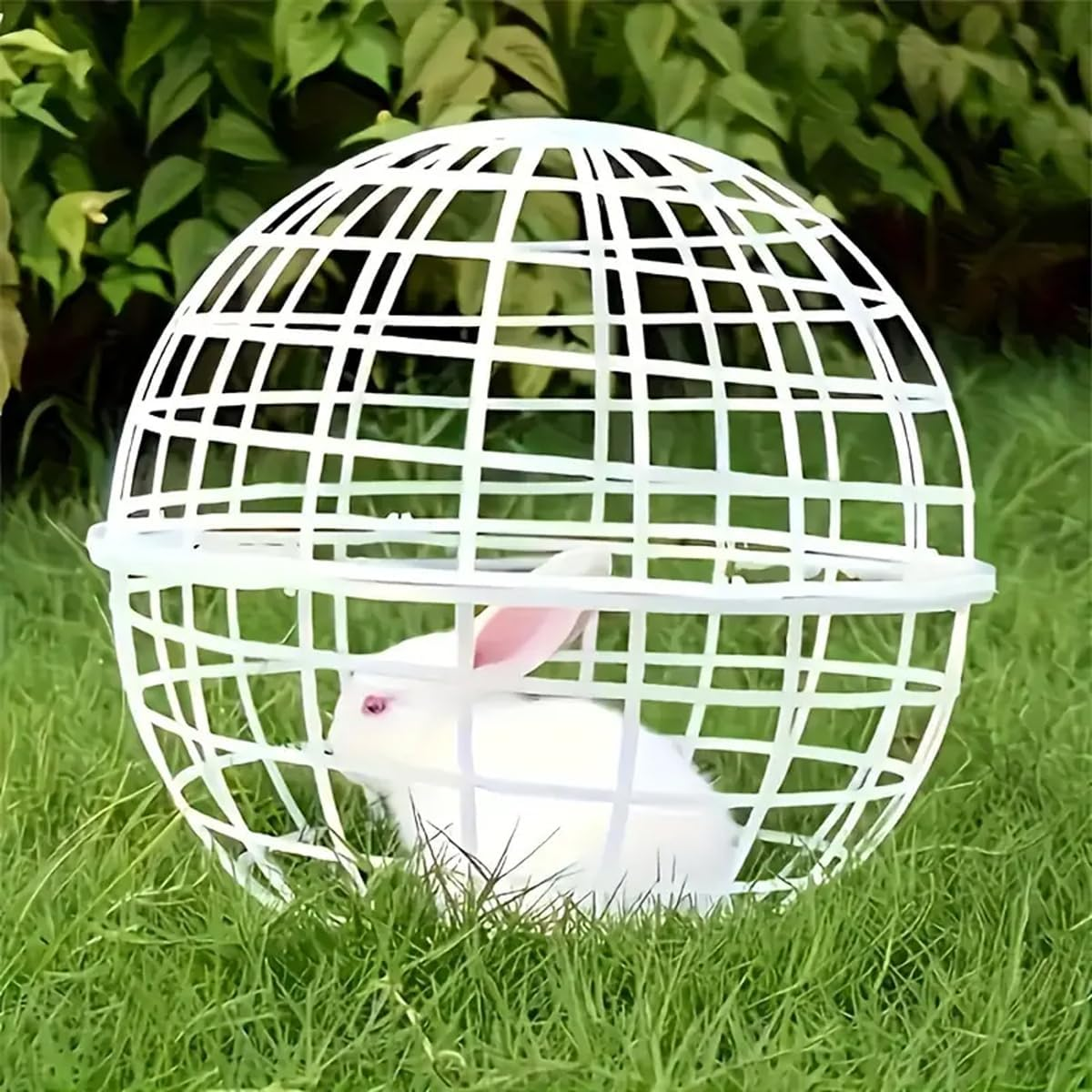 AIMALL Rollable Sphere Cage for Small Animals, Versatile Mobile Enclosure for Chickens, Rabbits &ndash; Includes Zip Ties, 7.87In Diameter, 2-Pack image number 1