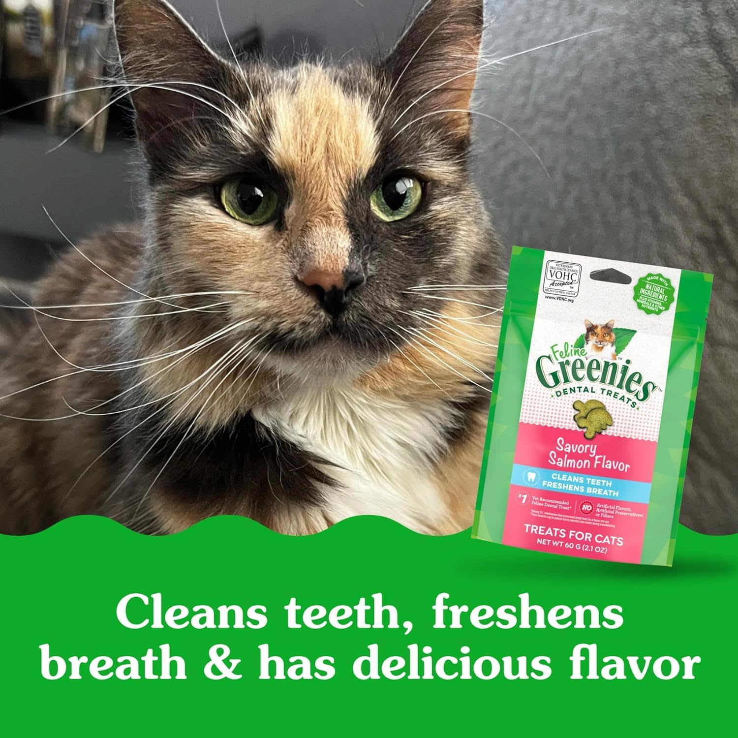 Greenies Feline Dental Cat Treat Salmon Flavour 60G Bag, One Size and Temptations Cat Treat, Seafood Medley 85G Bag X 6 Pack - Bundle Pack
