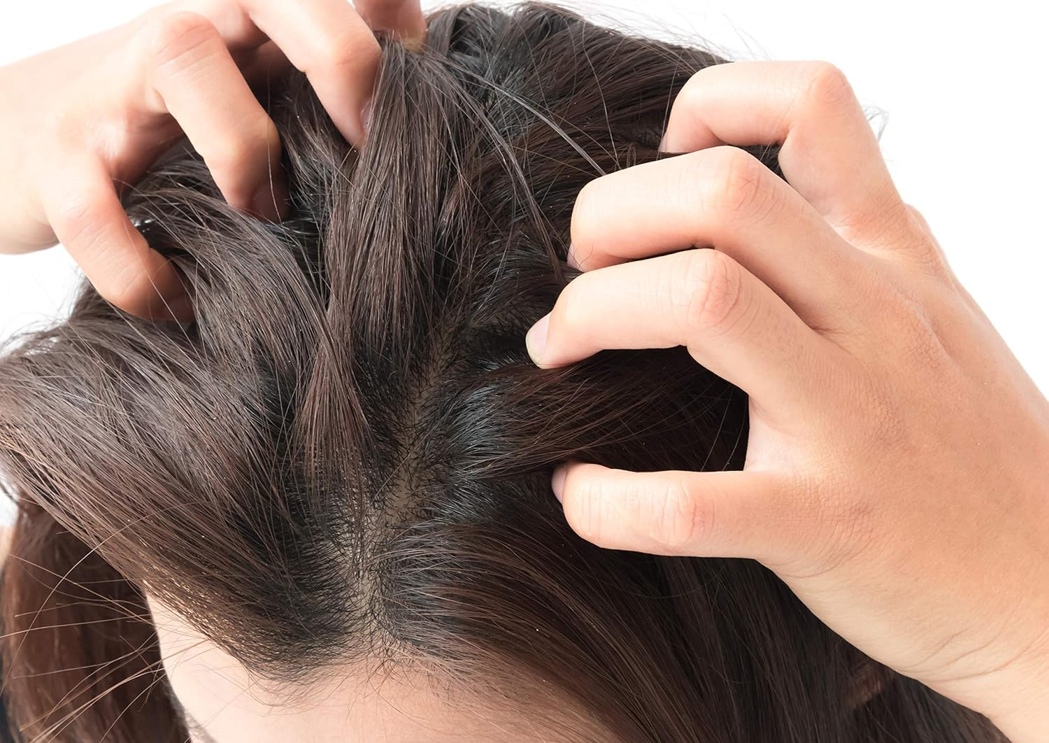 Ethereal Nature 99% Natural Hair Oil Blend with Peppermint, Green, 7.78 Oz image number 2