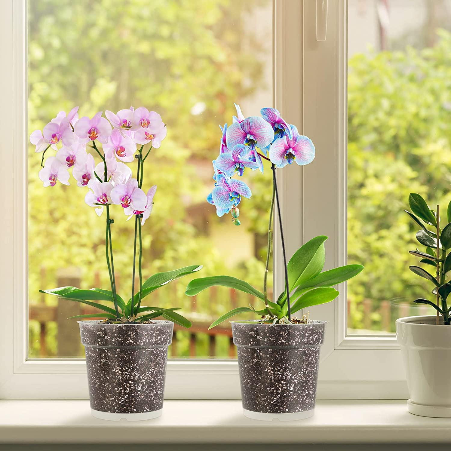 Durony 12 Pack 4.5 Inches Clear Orchid Pots with Holes Flower Plant Pot Durable Plastic Planter with 12 Pieces Plant Labels Great Drainage for Seedlings Planting image number 3