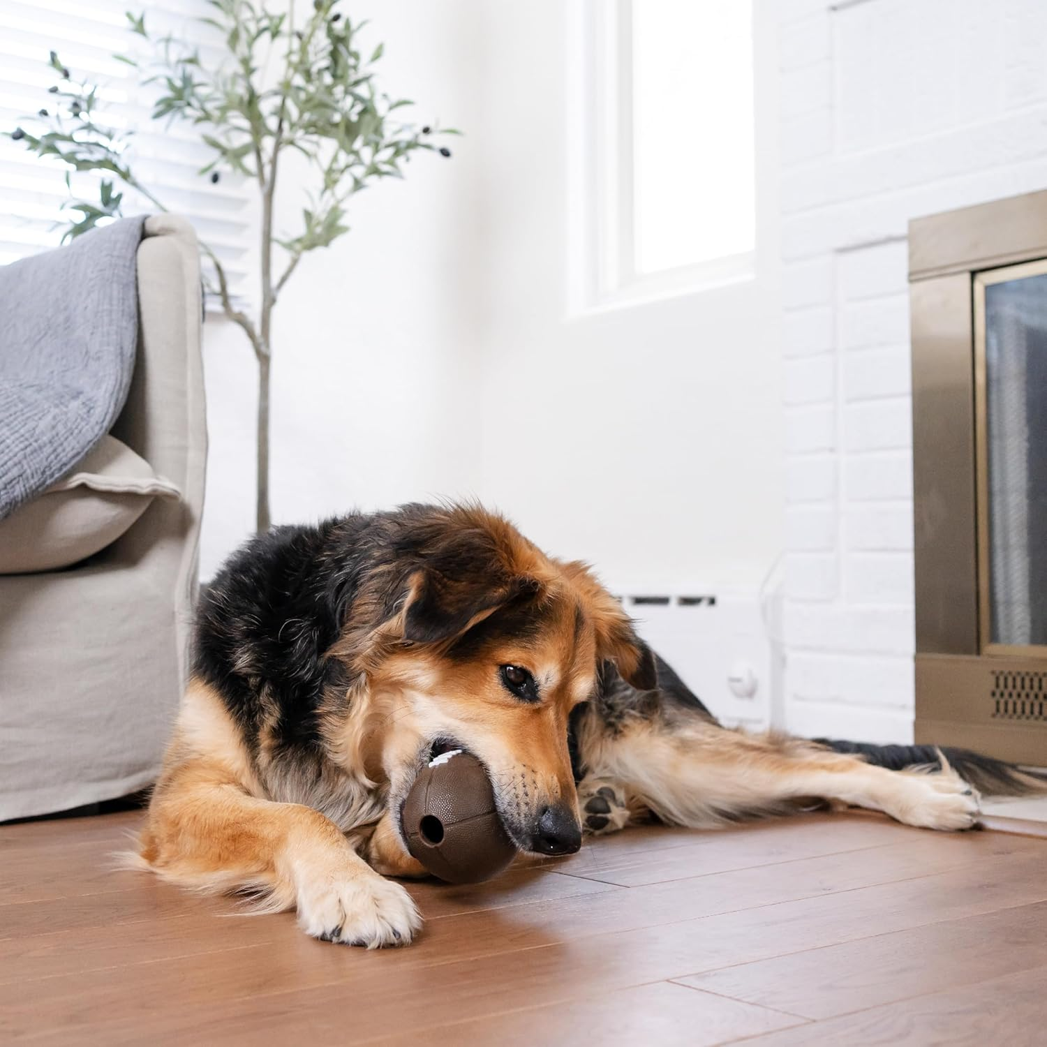 Outward Hound by Planet Dog Football, Durable Treat-Dispensing Dog Ball, Interactive Fetch Toy, Orbee-Tuff, Mint Scented, Bpa-Free, for Indoor & Outdoor Play, Brown image number 5