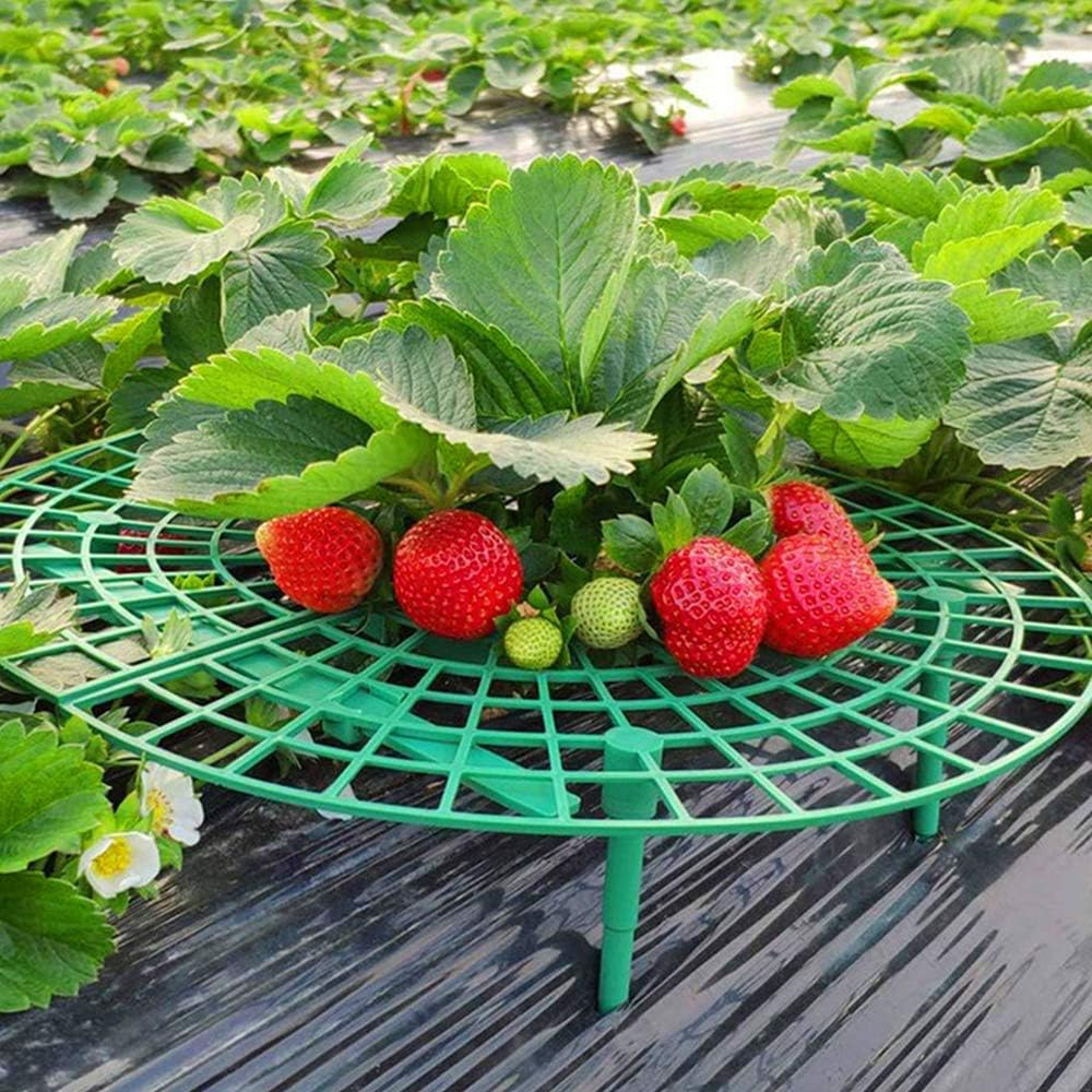Medoore 5 Pack Strawberry Supports, Adjustable Strawberry Growing Racks Plant Climbing Rack Vine Pillar Garden Stand Balcony Vegetable Rack for Keeping Fruit Elevated to Avoid Ground Rot image number 1