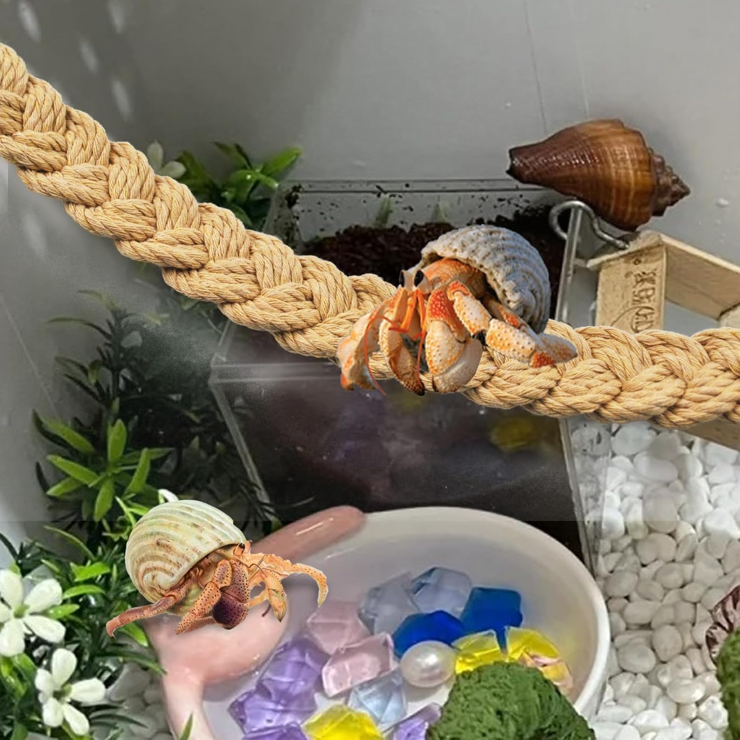 1PCS Hermit Crab Climbing Toy &ndash; Natural Jute Rope Ladder with Hooks, Reptile Terrarium Accessory for Hermit Crabs, Geckos, Lizards & Snakes, Tank Habitat Decor image number 5