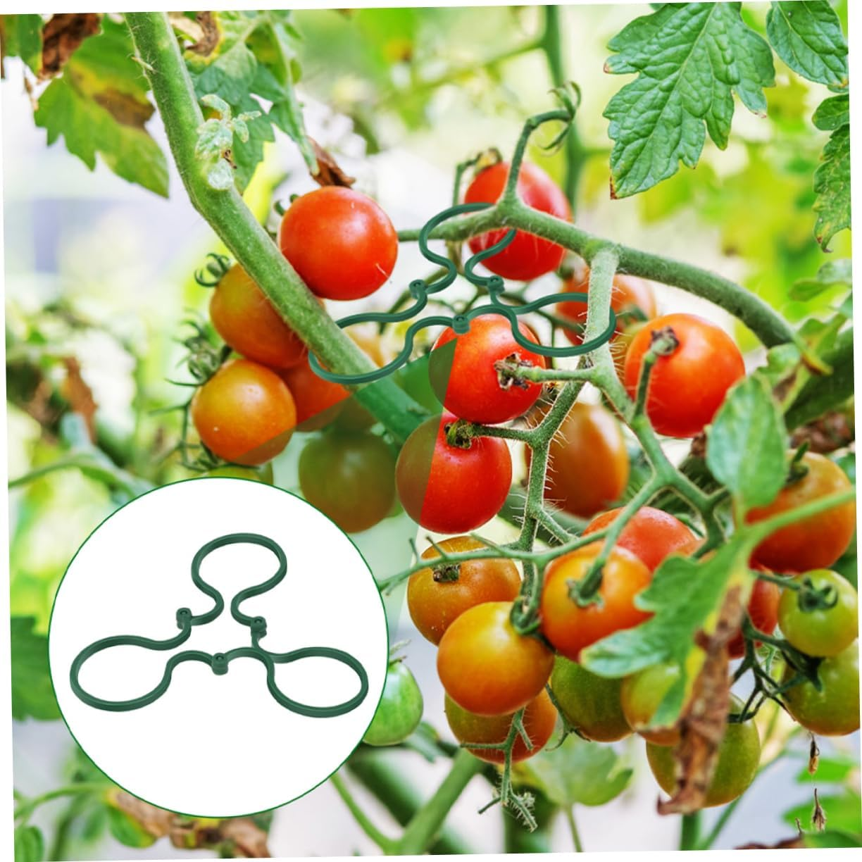 VINTORKY 150Pcs Plastic Plant Climbing Clips for Vine Support Secure Outdoor Garden Bonsai Flower Stem Holder Reusable Gardening Plant Clip image number 4