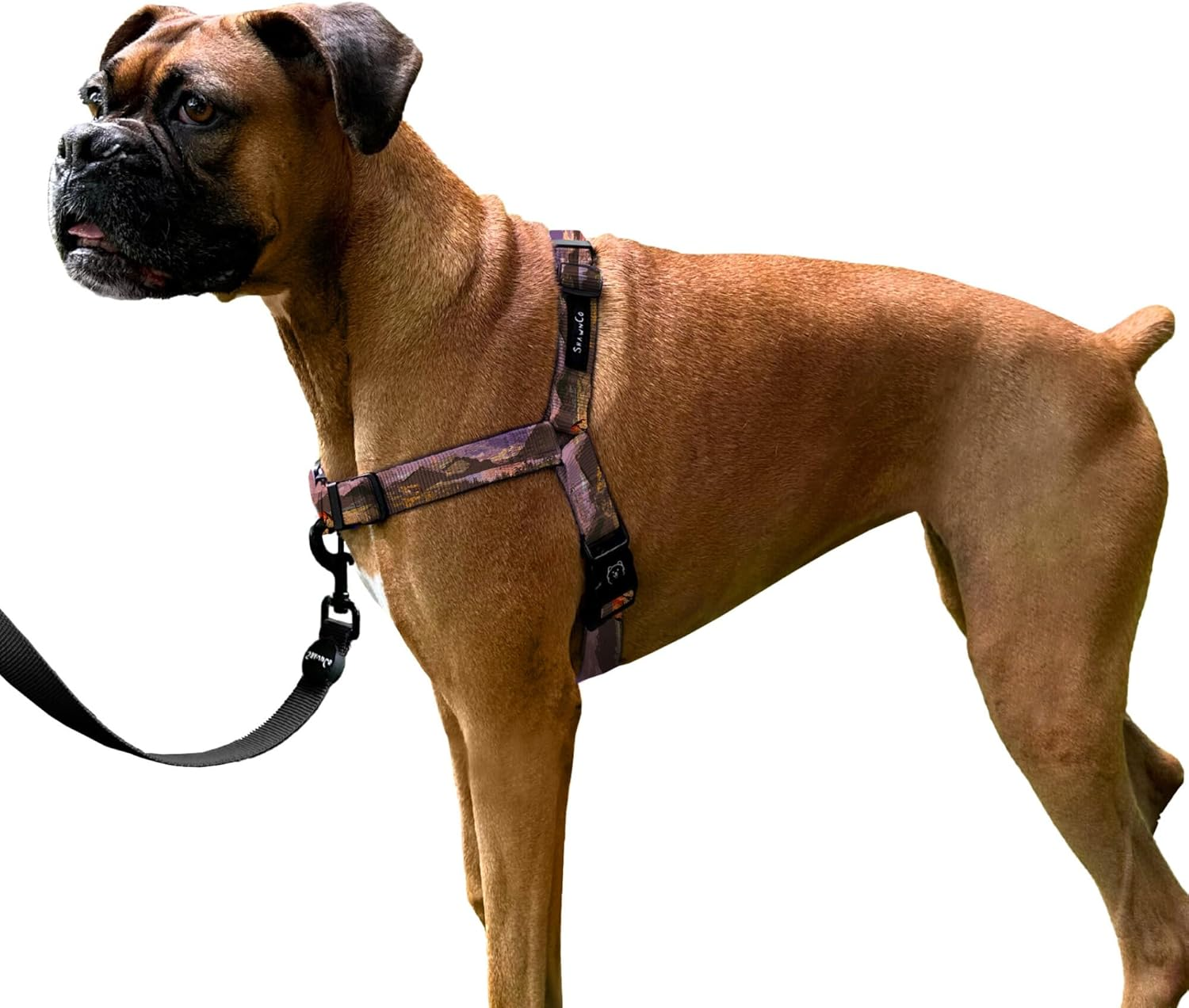 Shawnco Dream Walk No-Pull Dog Harness- Adjustable, Comfortable, Easy to Use Pet Halter to Help Stop Pulling for Small, Medium and Large Dogs- Art Pattern Designs (Montana Daydream, M) image number 3