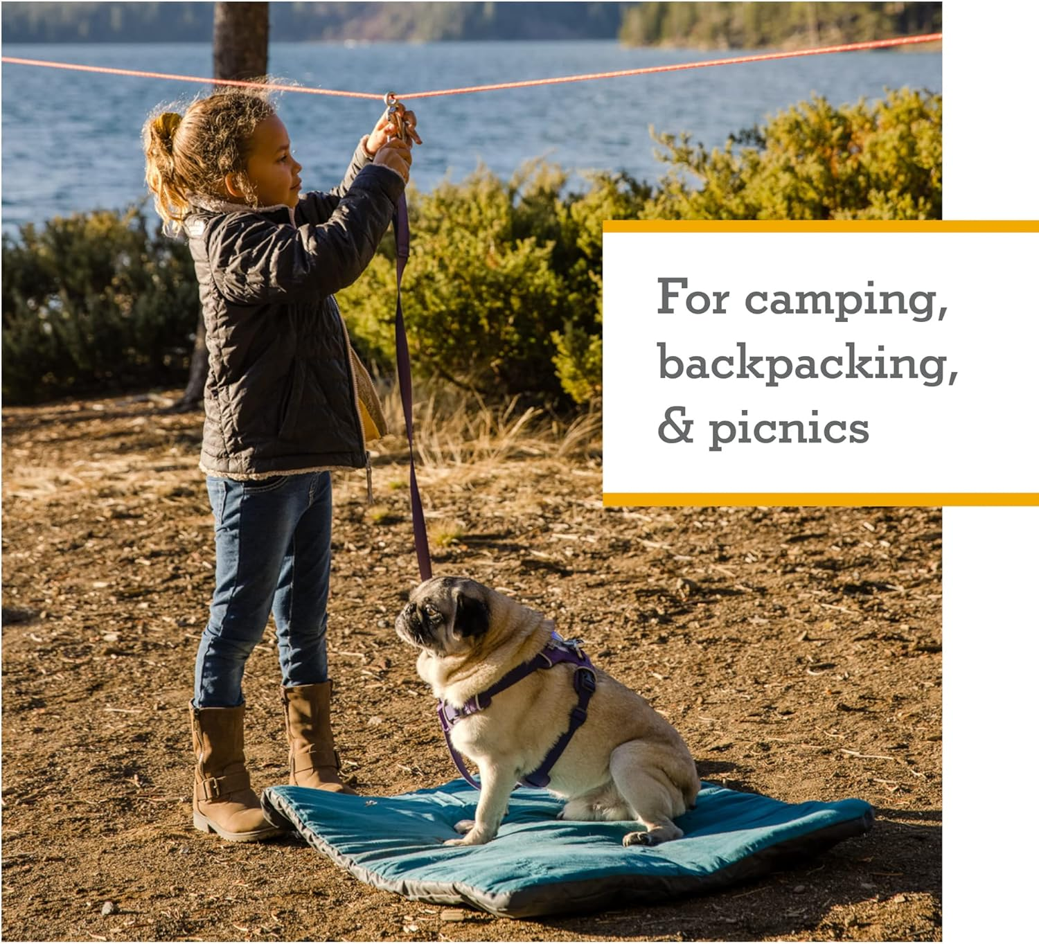 Ruffwear, Knot-A-Hitch Dog Hitching System, Portable Hitch for Campsites, Parks, and Yards, Red Clay image number 4