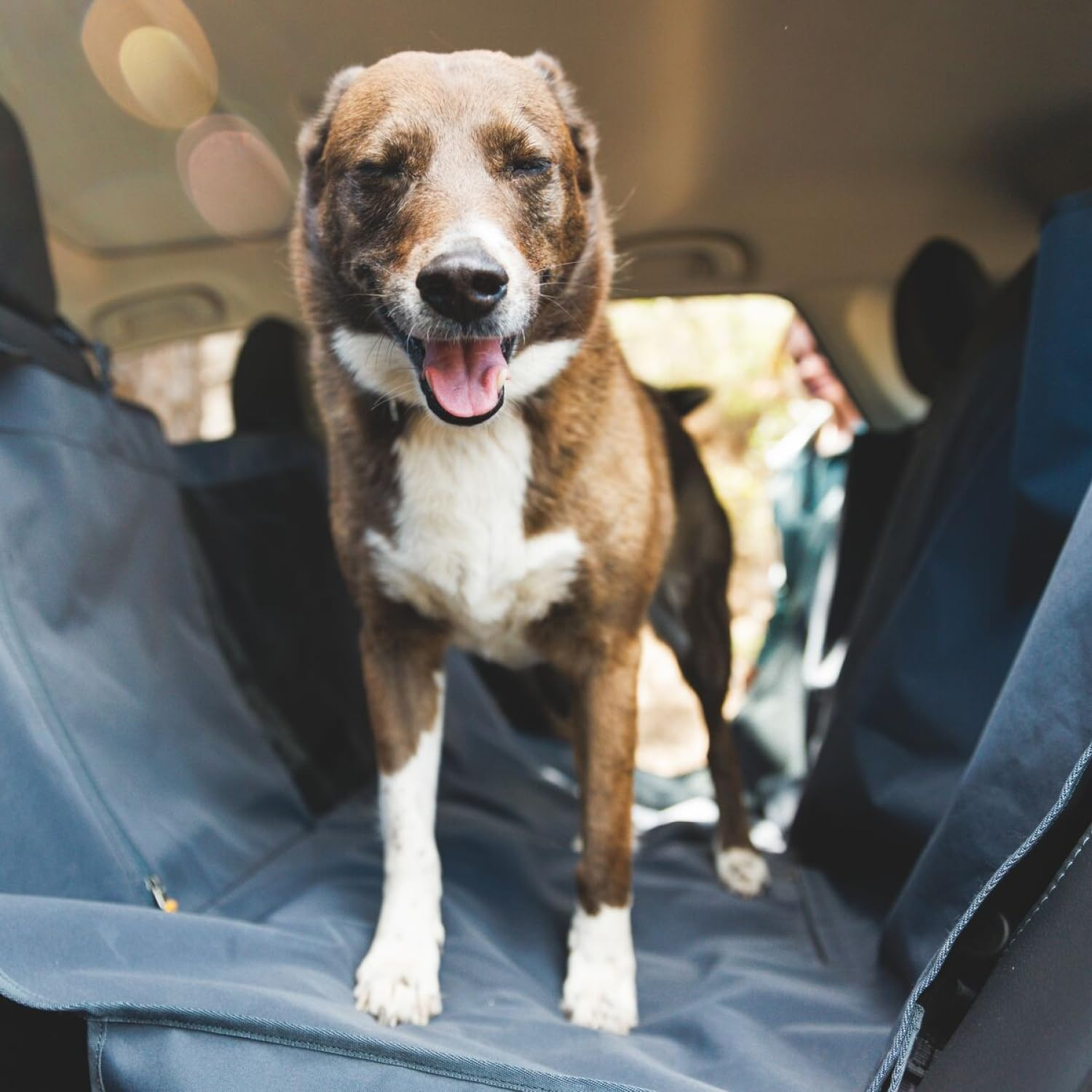 Ruffwear, Dirtbag Seat Cover, Dog Car Seat Cover, Basalt Gray image number 6