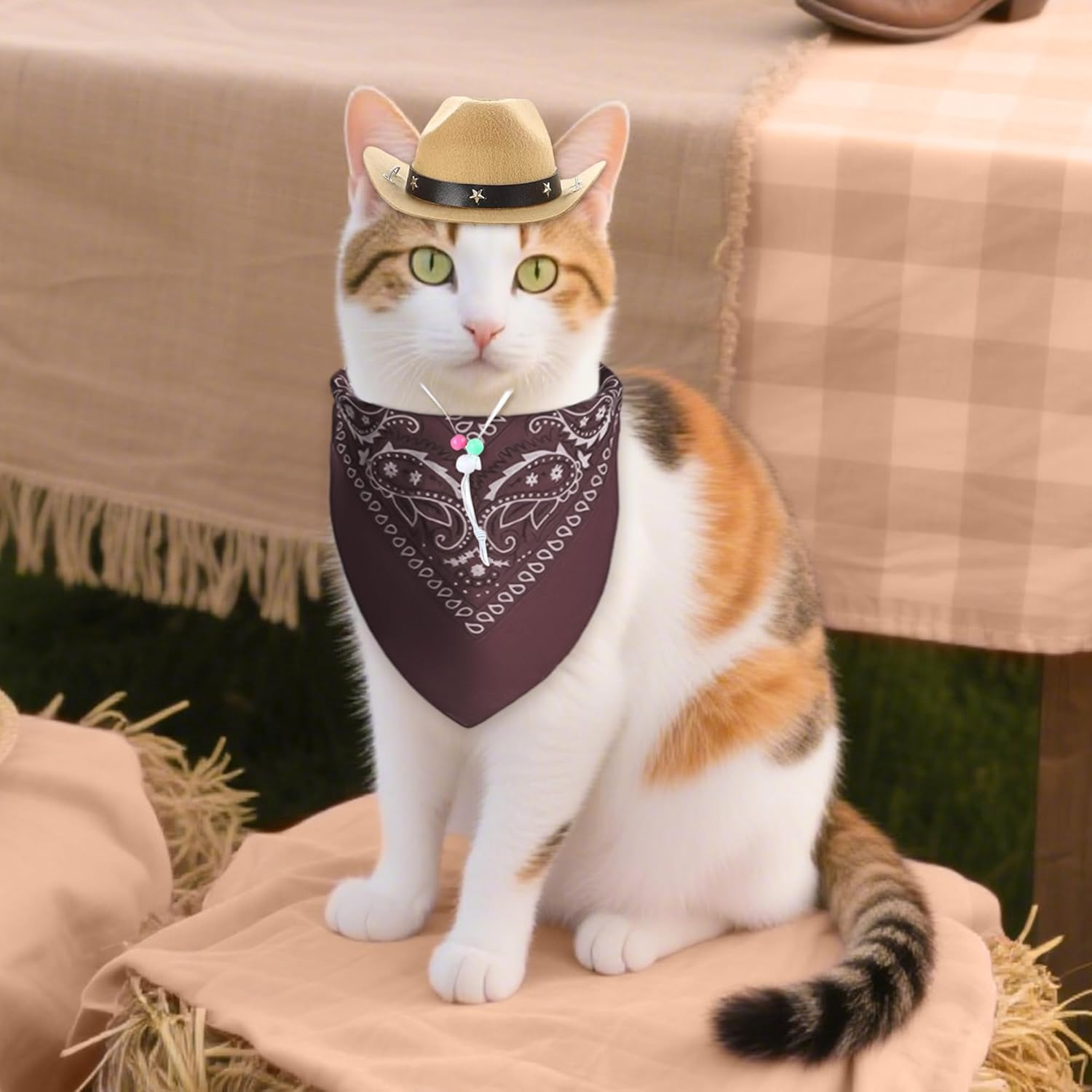 Laventy Cowboy Hat for Cats Brown Bandana Mini Pet Cowboy Costume for Halloween Party Decoration image number 4