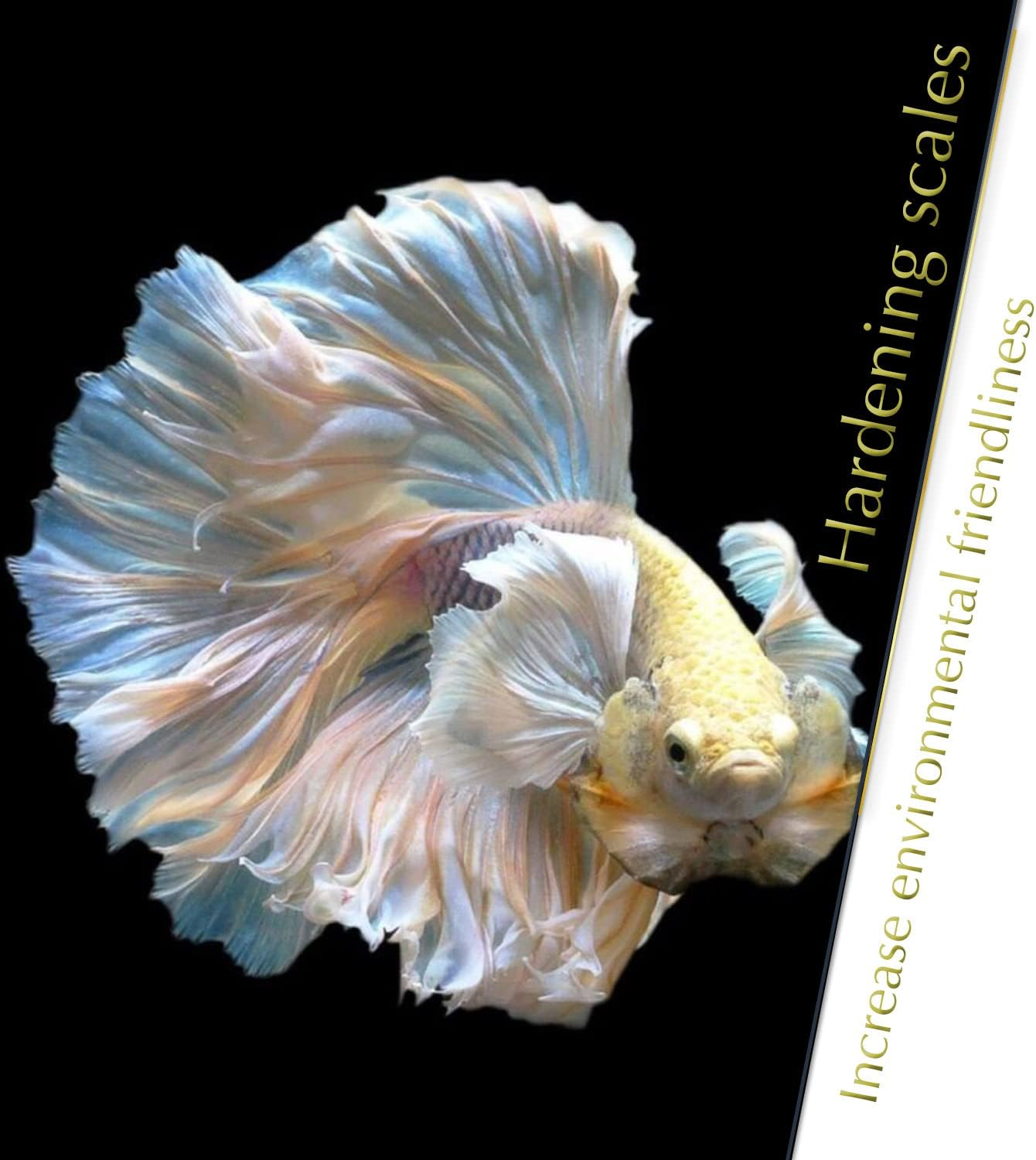 Bettaleaf Comfort Zone Fish Indian Almond Leaves Slice in Pieces Leaf Ready to Use 45 Grams Pack (80~100 Pieces) | Best Gold Brown Quality | Fish Tank for Betta Fish Shrimp Crayfish, for Healthy image number 5