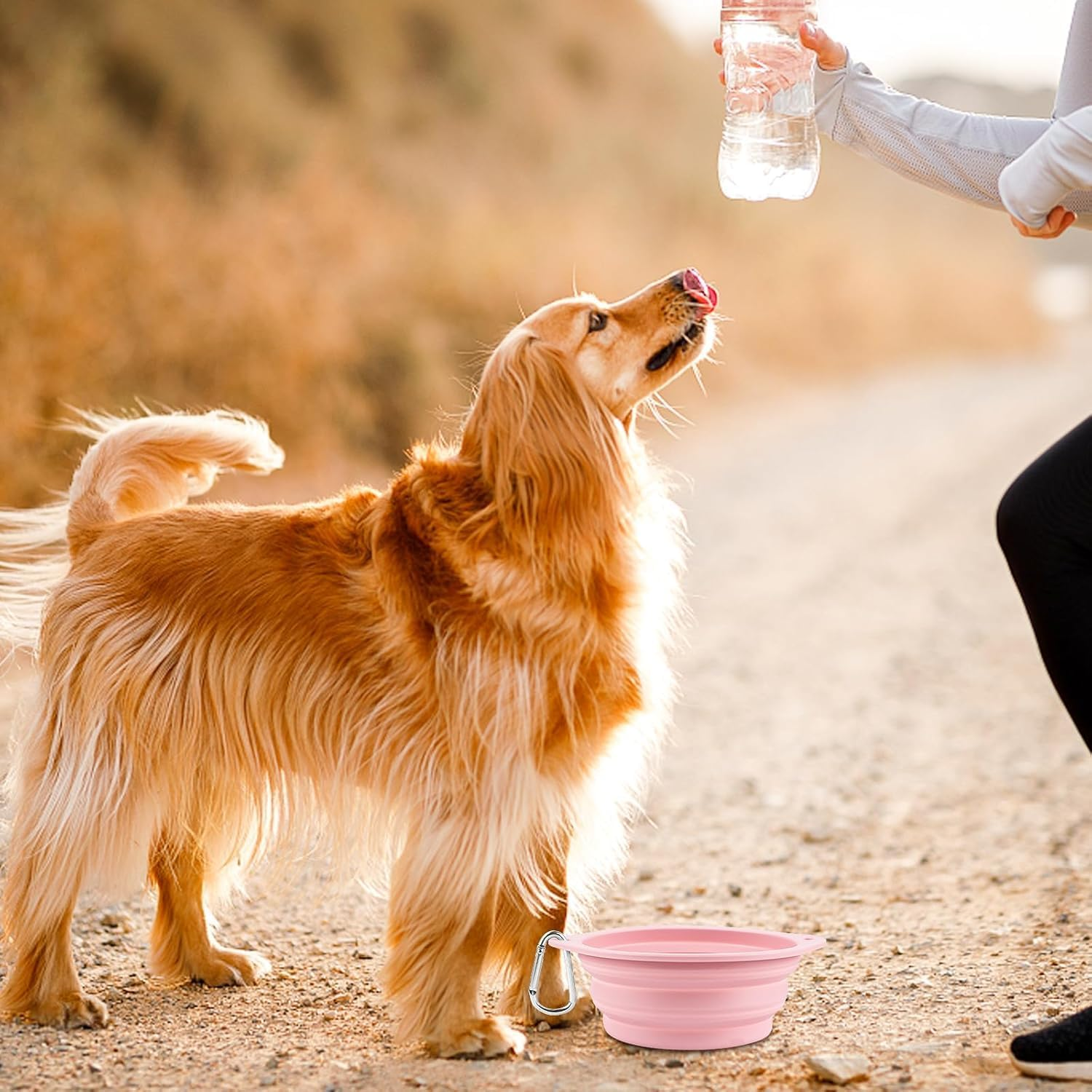 Pack of 2 Foldable Travel Bowls, Leak-Proof Dog Bowls, Foldable Silicone Water Bowl for Dogs on the Go and Pets for Water and Food (Pink, Blue) image number 5