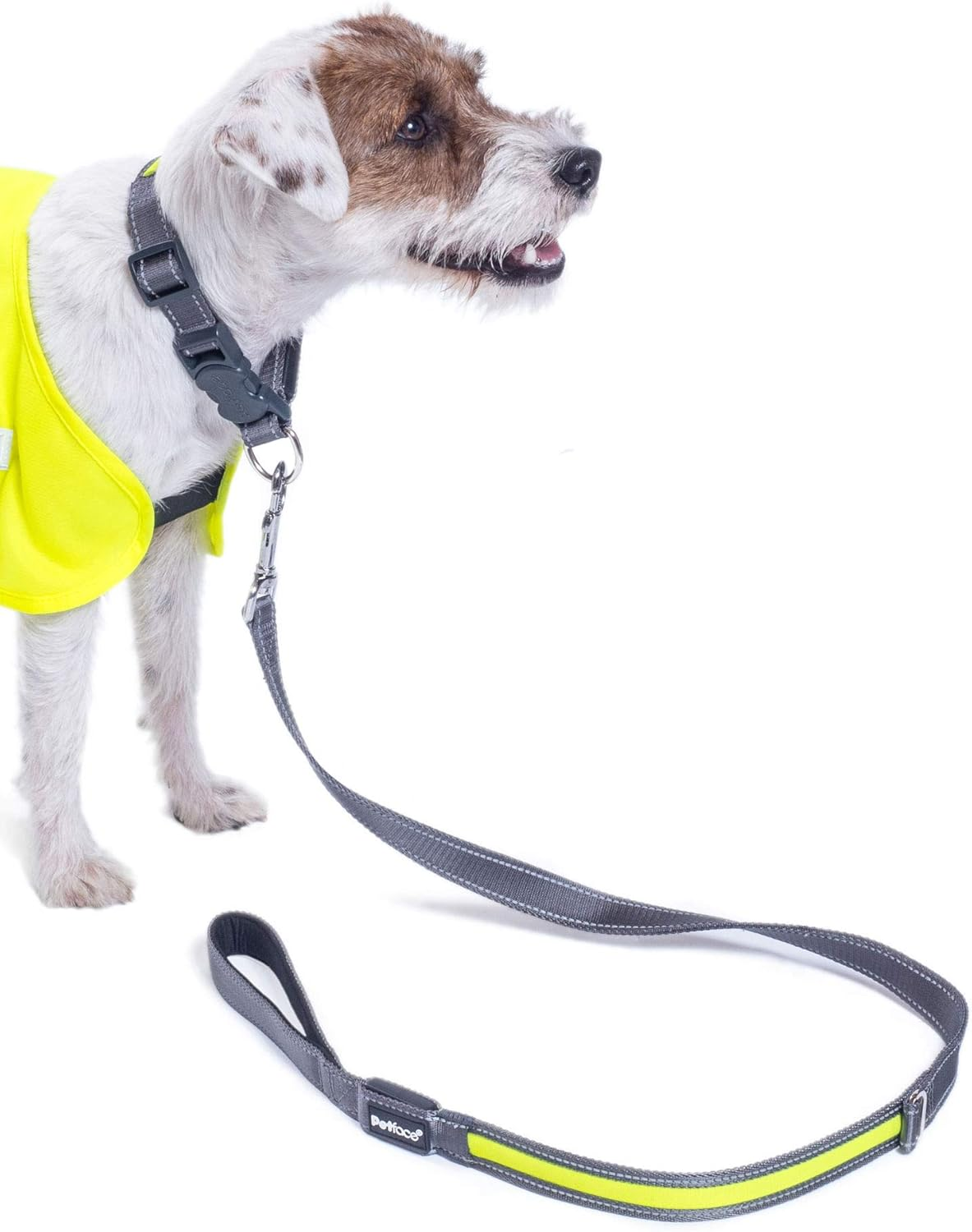 Petface Outdoor Paws Flashing Reflective Dog Lead image number 4