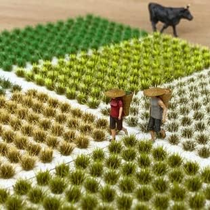 208 Pcs Static Grass Model Grass Tufts Railway Artificial Grass Miniature Grass Tuft Terrain Kit for DIY Model Railway Fairy Garden Diorama Scenery (Set A) image number 3