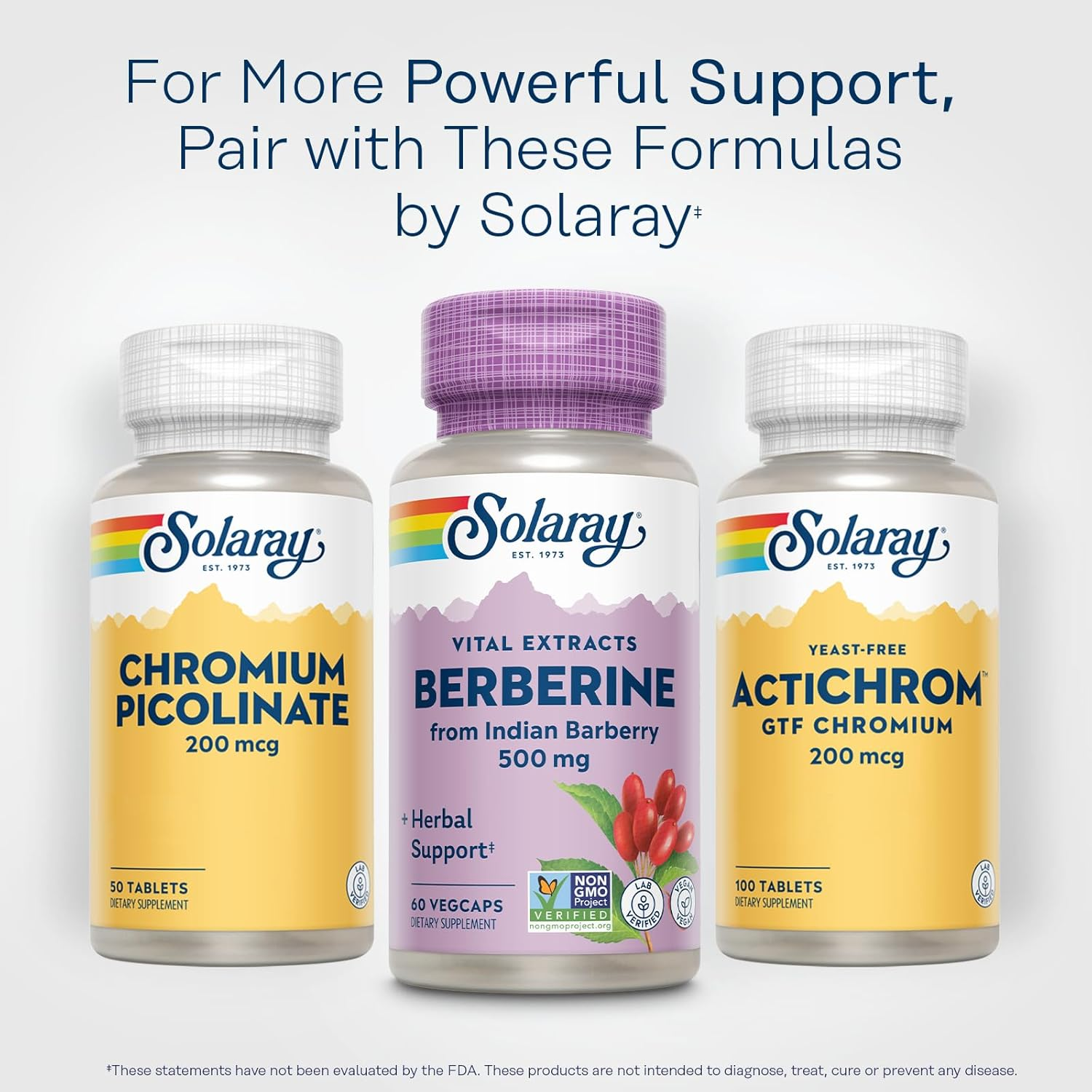 Solaray Berberine Guaranteed Potency 500 Mg Supplements, 60 Count image number 5