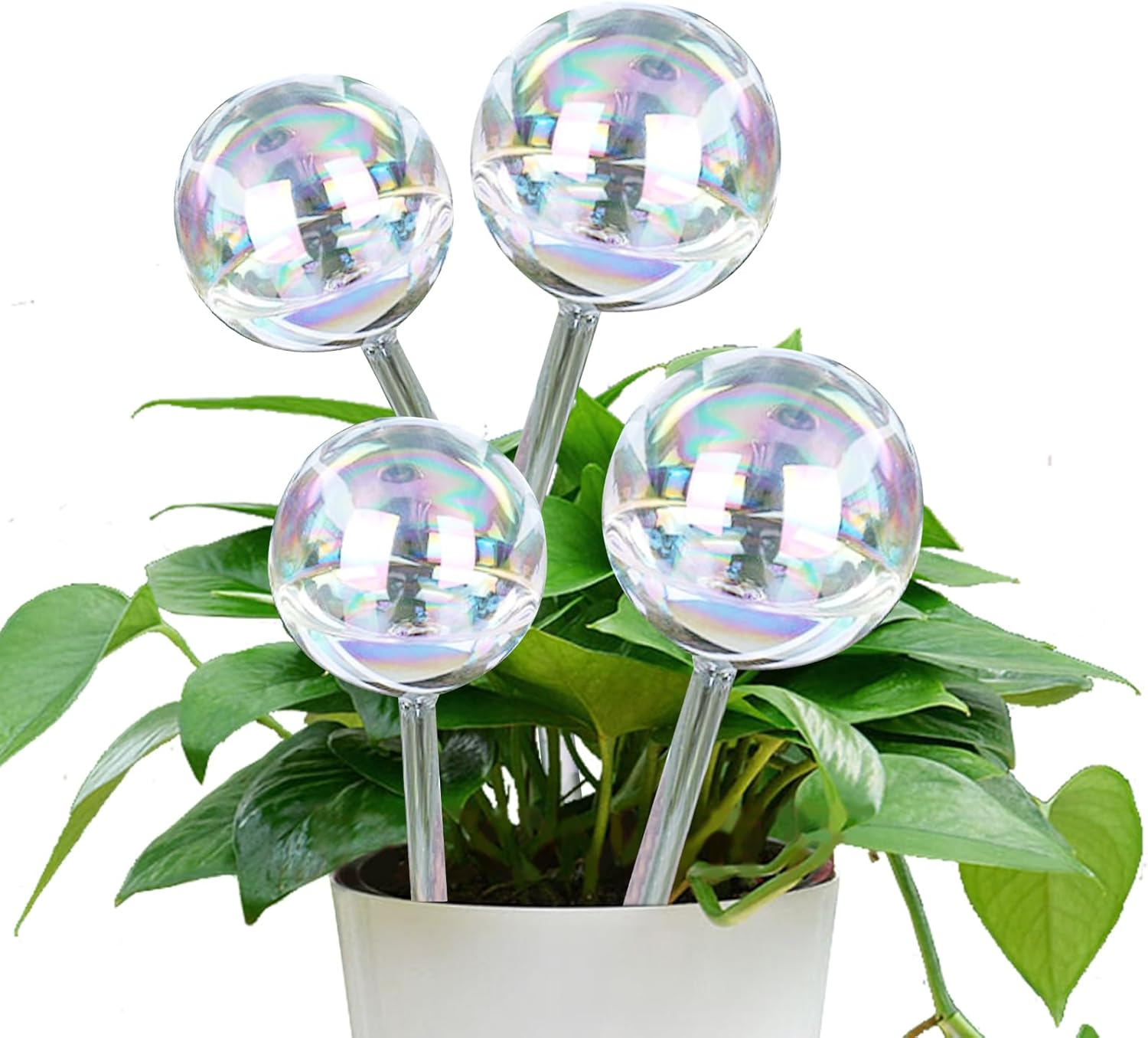 Aiiyiihii 4 Pack Plant Watering Globes, Colorful Clear Glass Water Bulbs for Indoor Plants, Decorative Automatic Water Globes for Outdoor Plants, Glass Plant Self Watering Globes for Indoor Plants