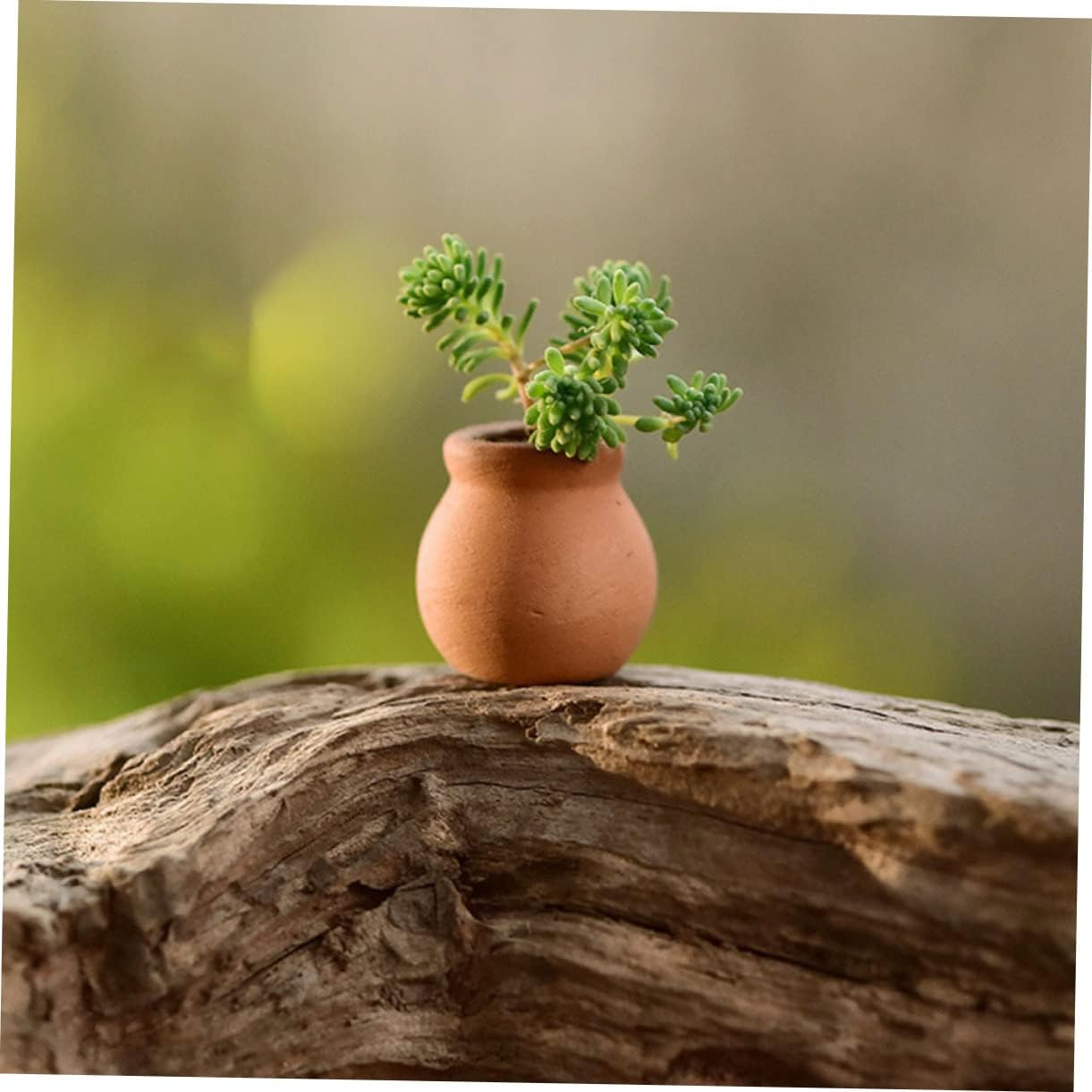 Milisten 6Pcs Small Plants Holder Pot Holder Terracotta Pots Holders Terracotta Pots Aquarium Pots for Desi Breathable Plant Pots Mini Container Jar Clay Light Brown image number 6