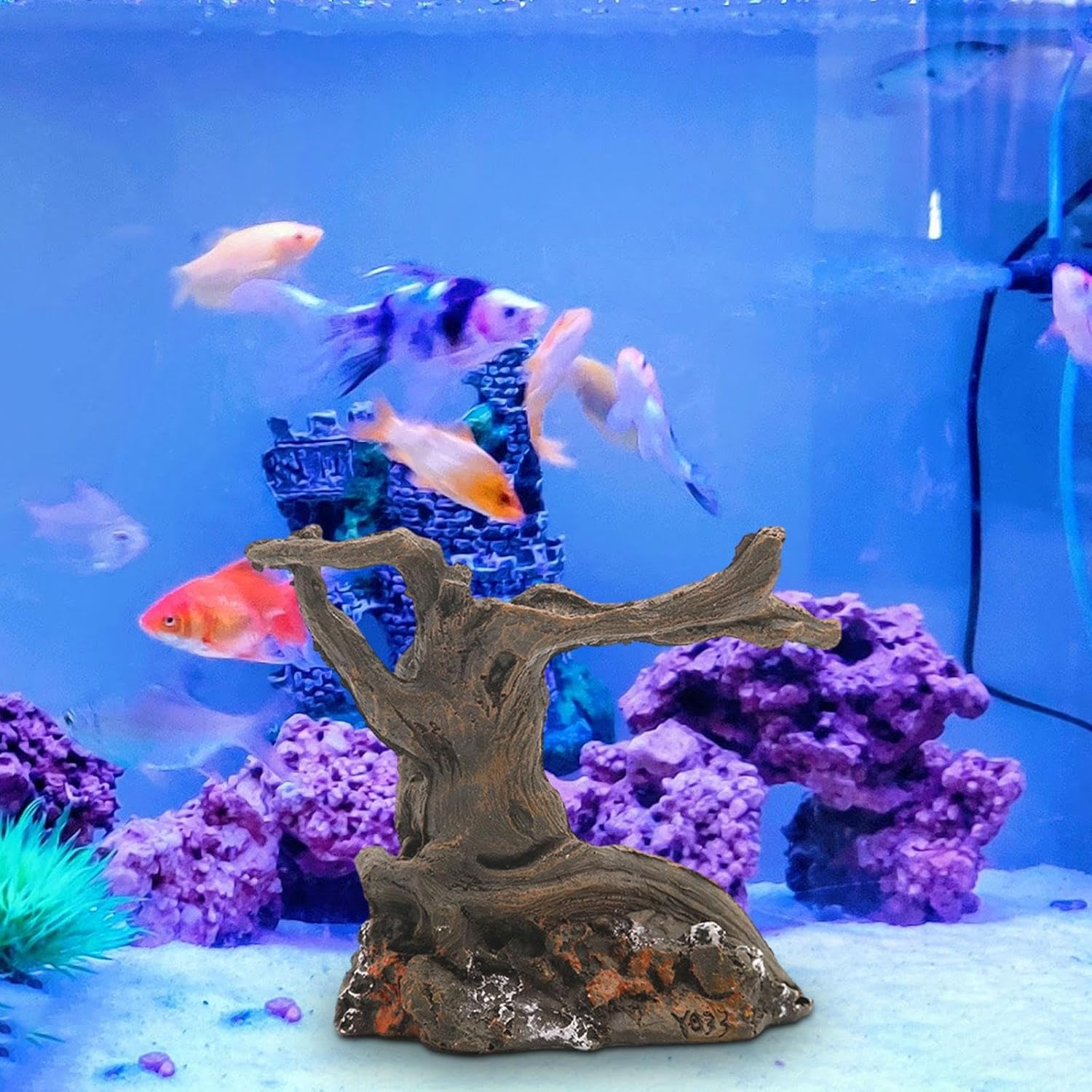 Qianly Fish Tank Driftwood Reptile Decor, Branch Driftwood Driftwood for Aquarium Decor, image number 3