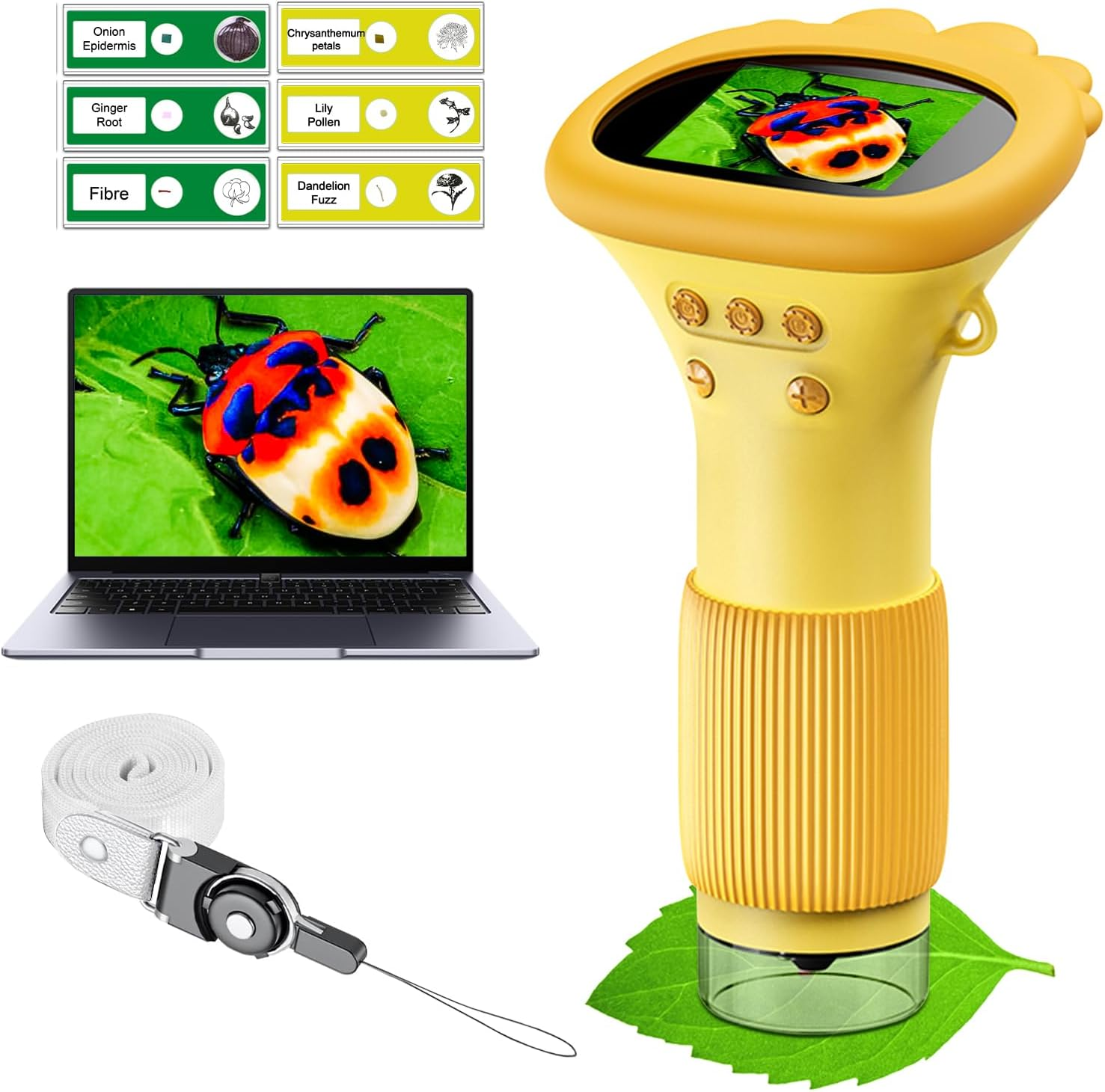 Kids Microscope Pocket Microscope - 1000X Portable Microscope for Kids | Photo and Video Mini Microscope | 2'' Digital Little Scientist Microscope for Kids over 3 Years Old image number 6