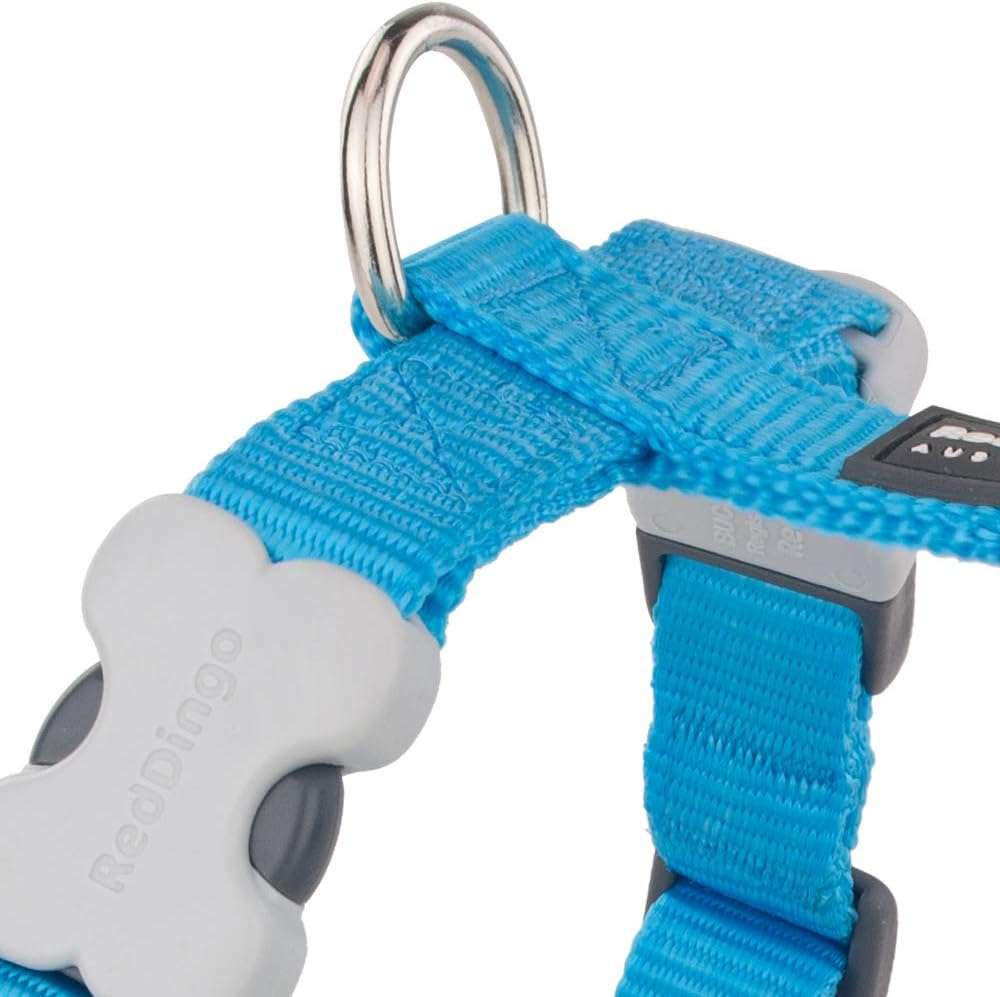 Red Dingo Adjustable Dog Harness, Classic Lime Green, 20Mm MEDIUM image number 1