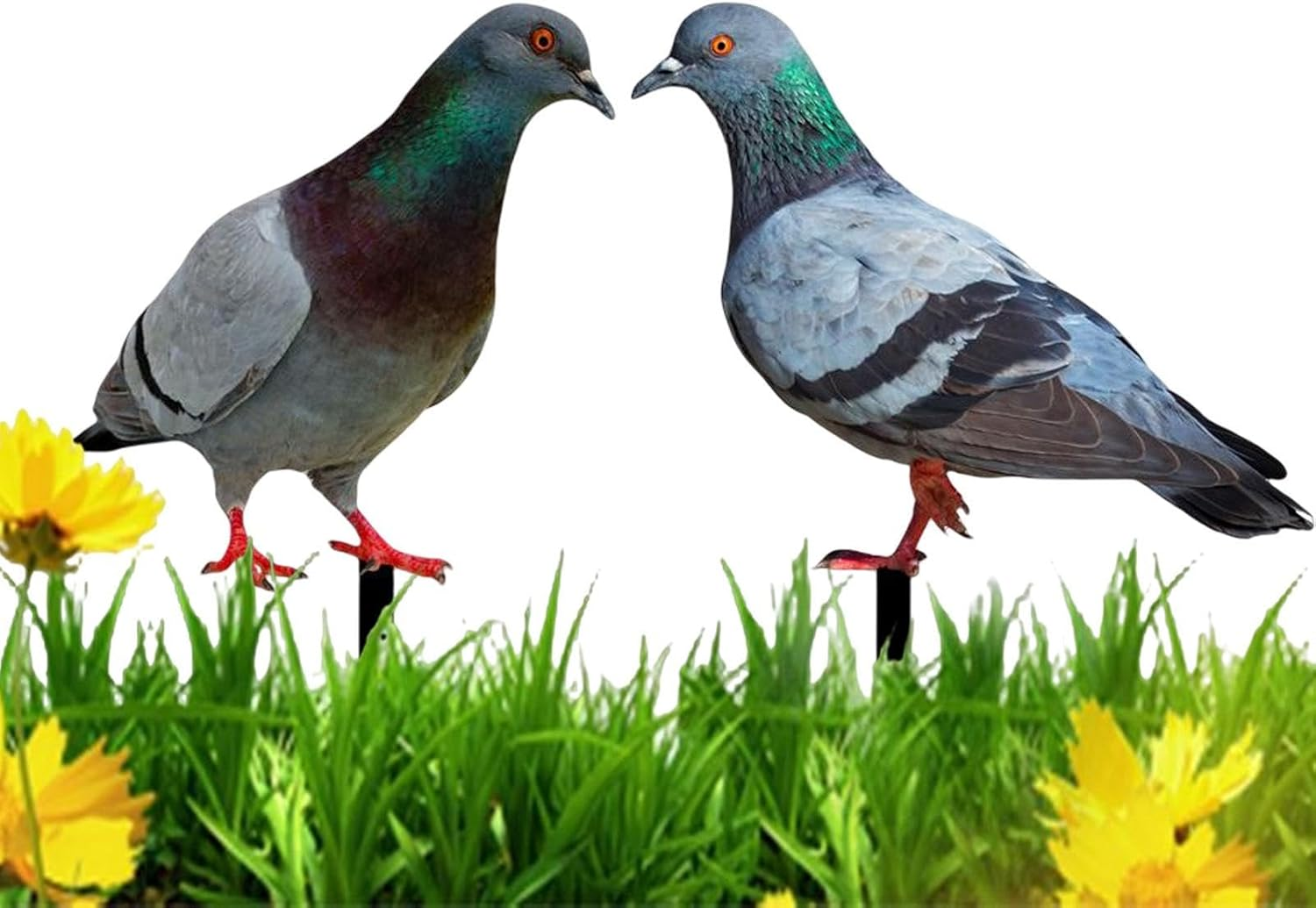Pigeon Decoys,2X Realistic 2D Acrylic Pigeon Model - Bird Stake Ground Plug, Decorative Yard Art Bird Figurine for Courtyard, Lawn, Patio, Outdoor image number 5