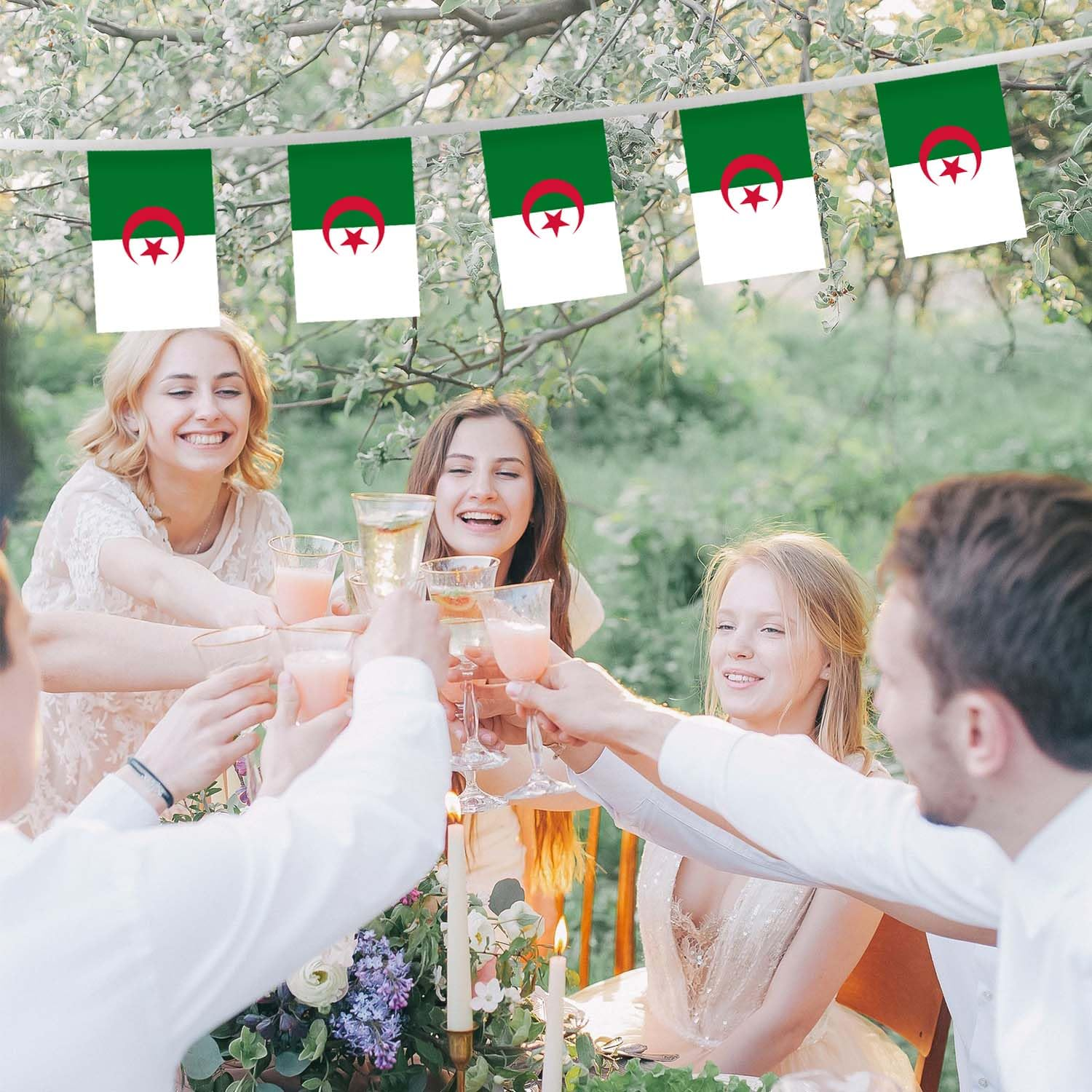 32FT Small Algeria Pennant Flag Bunting,30 PCS Mini String Banner Strip Algerian National Decor Rectangle for Holiday Restaurant Home Party School image number 3