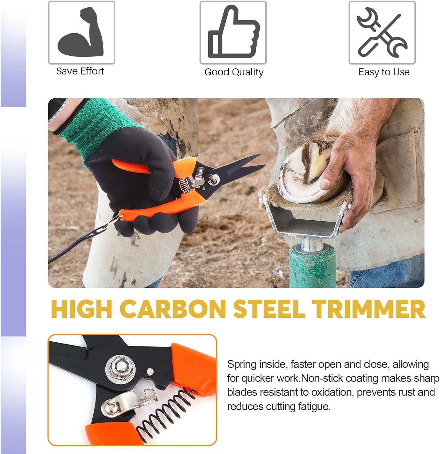 Swpeet 5Pcs Professional Farrier Tools Value Supplies Kit with Roll Pack, Mini 8 Inch Rasp Hoof File, 8 Inch Hoof Nipper, Horseshoe Brush, Horses Hoof Trimmers Shears Tools, Hoof Cutter for Horse image number 1