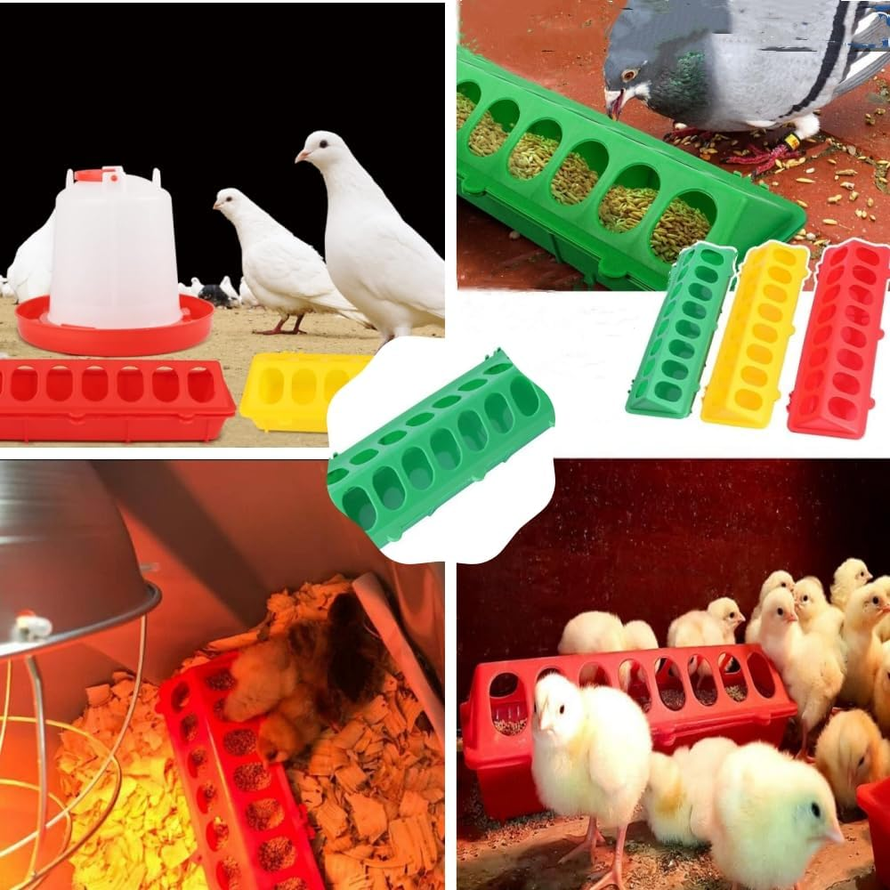 Bird Feeder & Drinker, Chick Feeder Plastic Chicken Feeder No Waste Spill Proof for Birds Small Poultry,Easy-Fill Plastic Dispenser with Hinge Opening, Ideal for Aviary