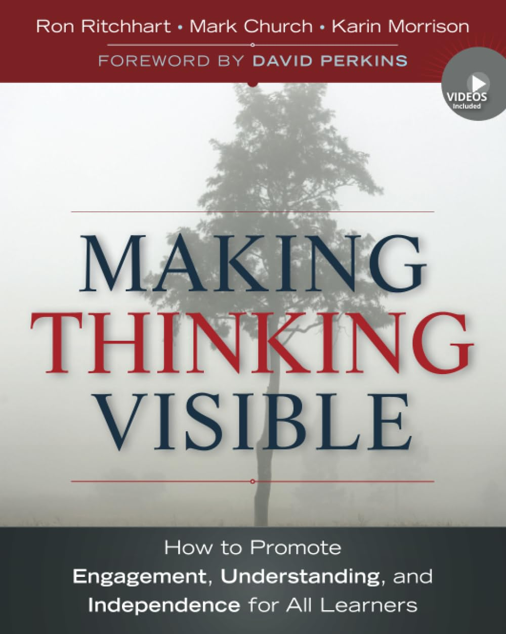 Making Thinking Visible: How to Promote Engagement, Understanding, and Independence for All Learners image number 2