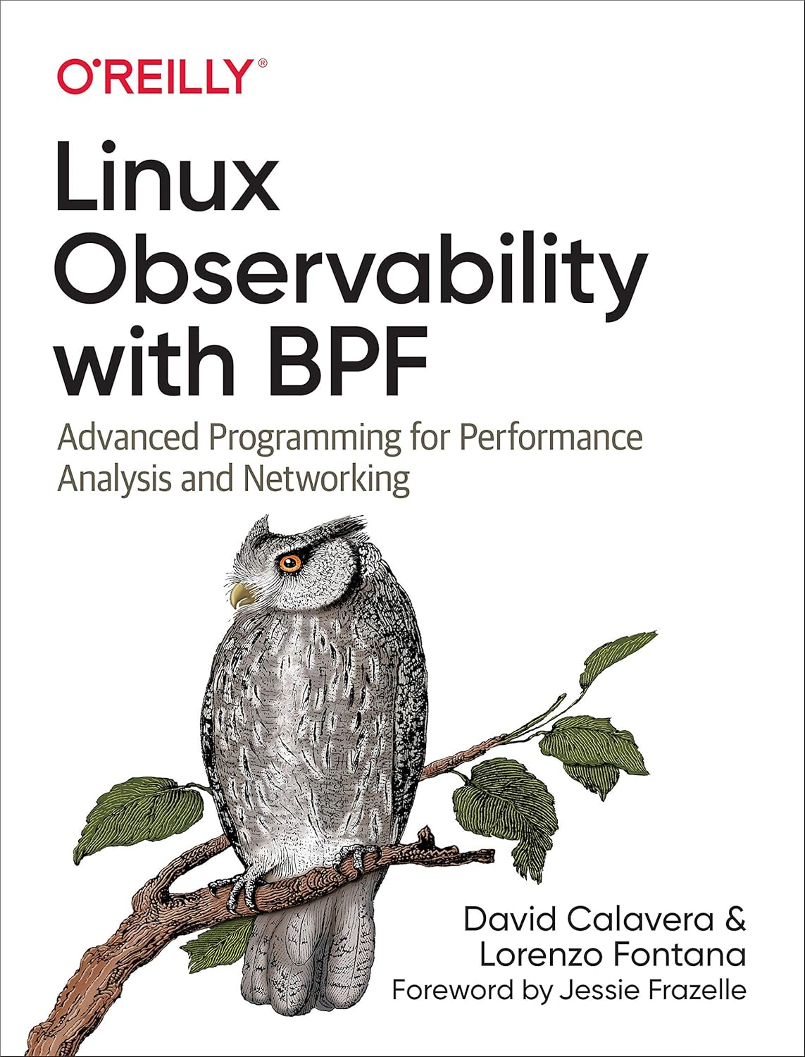 Linux Observability with BPF: Advanced Programming for Performance Analysis and Networking