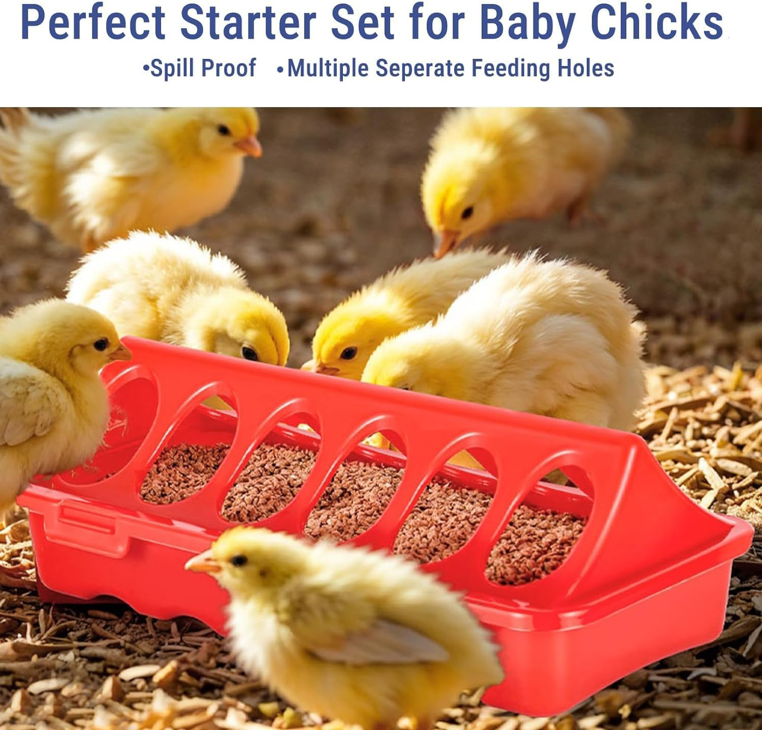 2 Pieces Bird Feed Dish for Pigeons, 6 Slot Feeder Pigeon Parrot Chicken, Chick Feeder and Waterer, Durable Water Trough for Efficient Animal Feeding and Easy image number 1