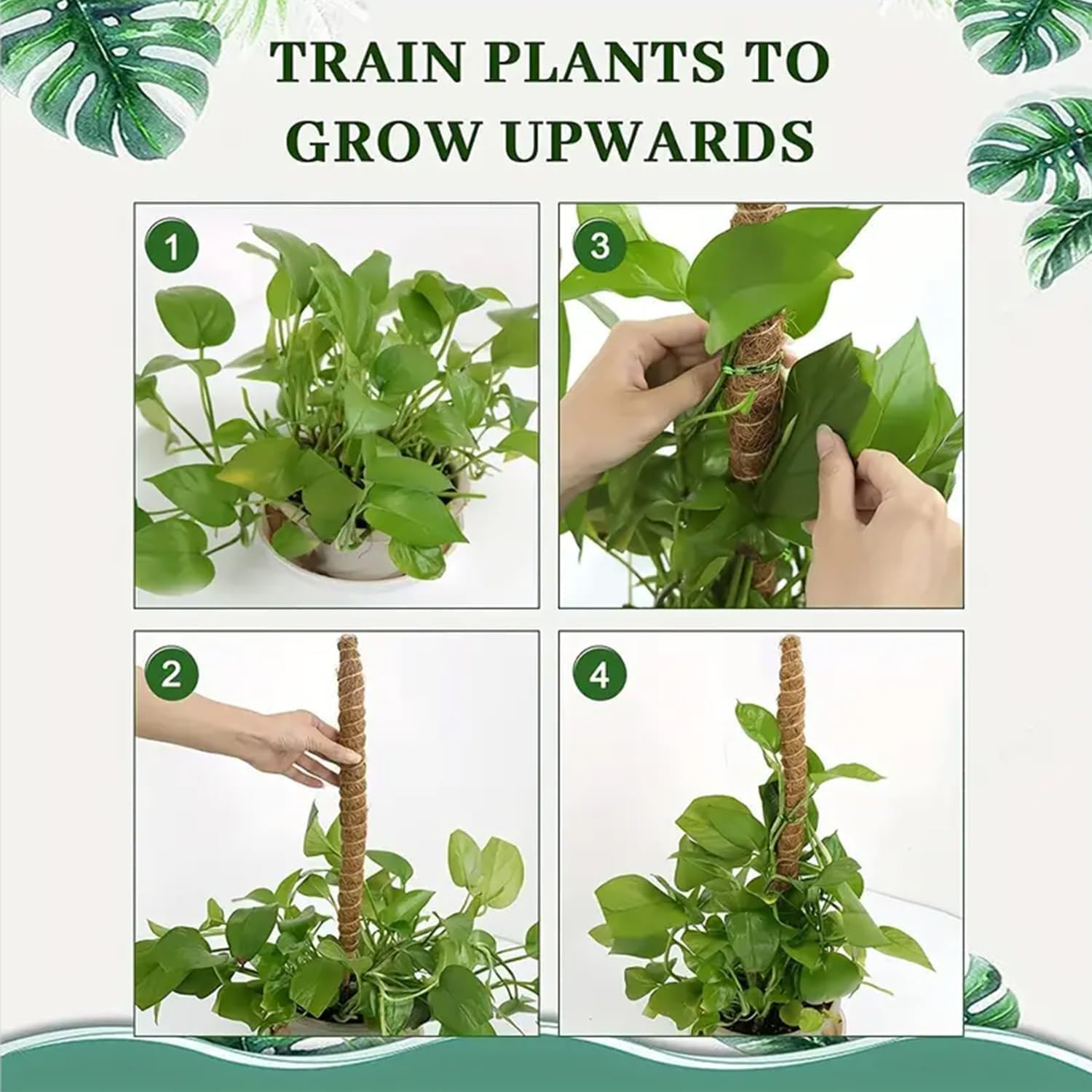 Plants Moss Pole Support, 2PCS 120Cm Bendable Vines Stakes, Flexible Ferns Climber Post, Customizable Coco Coir Rod Seedling Uphold for Monstera, Platycerium & Philodendrons Growth (120CM) image number 3